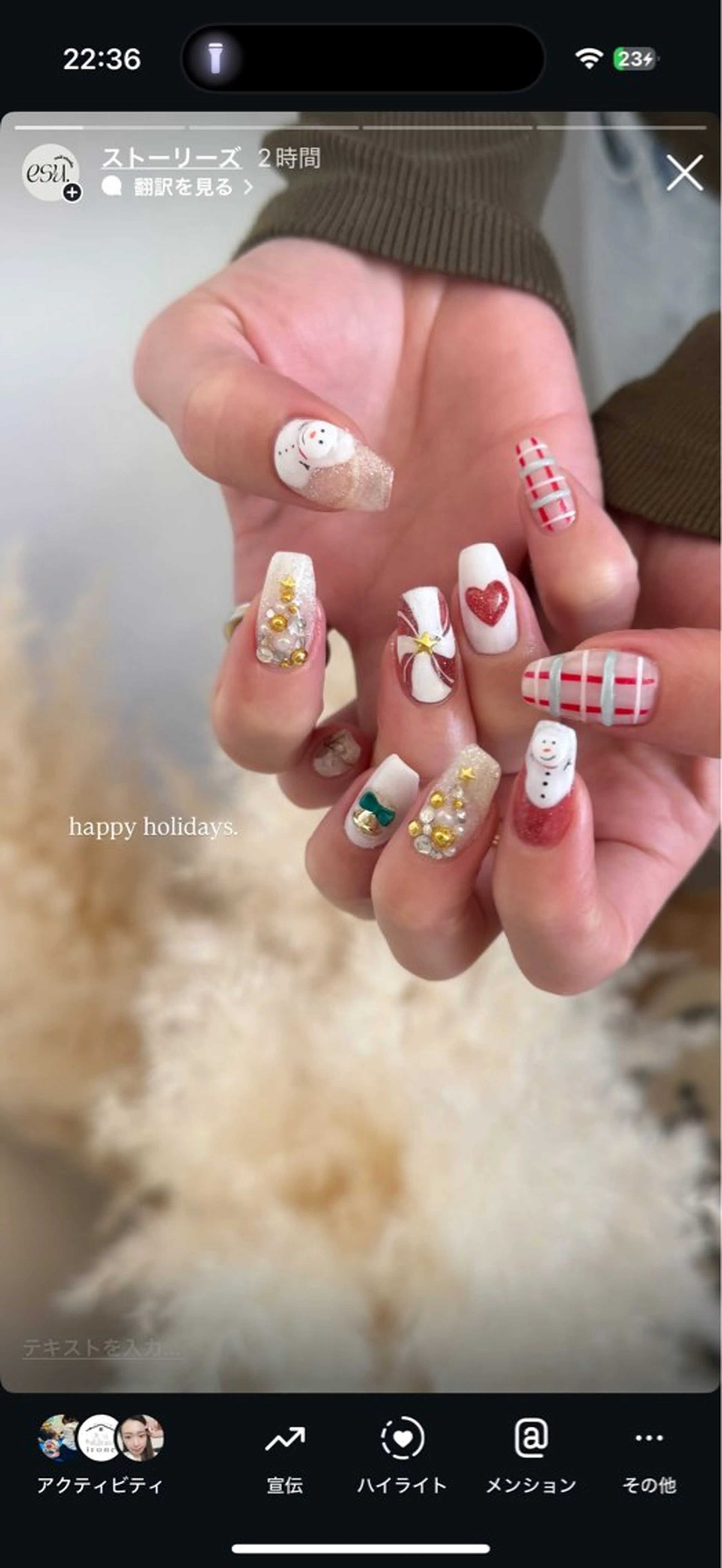 ネイル 冬ネイル クリスマス ハンドネイル nailstudio esu.のネイルデザイン