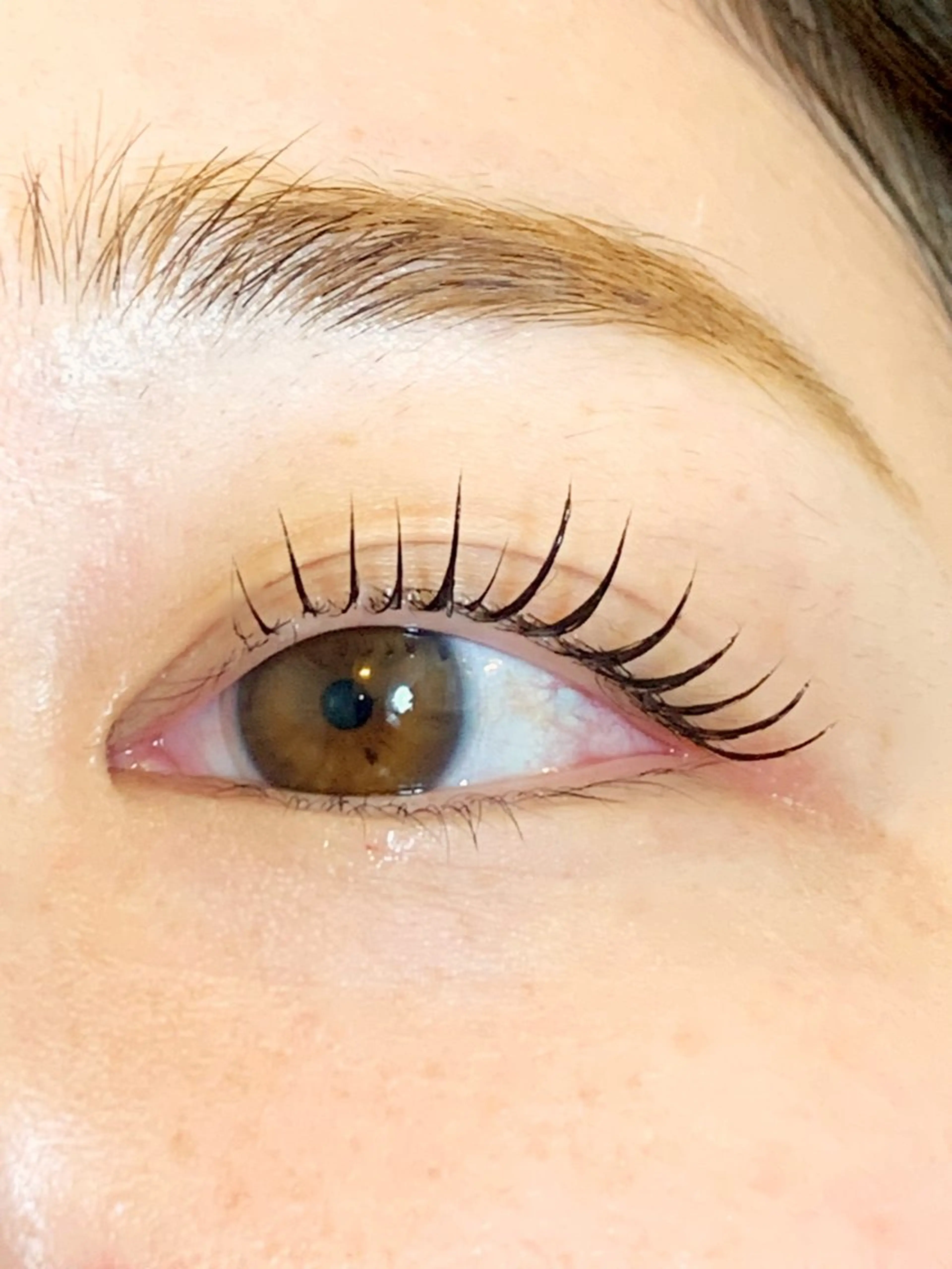 マツエク・マツパ 本町/北浜/淀屋橋 peTiT堀口のマツエク・マツパデザイン