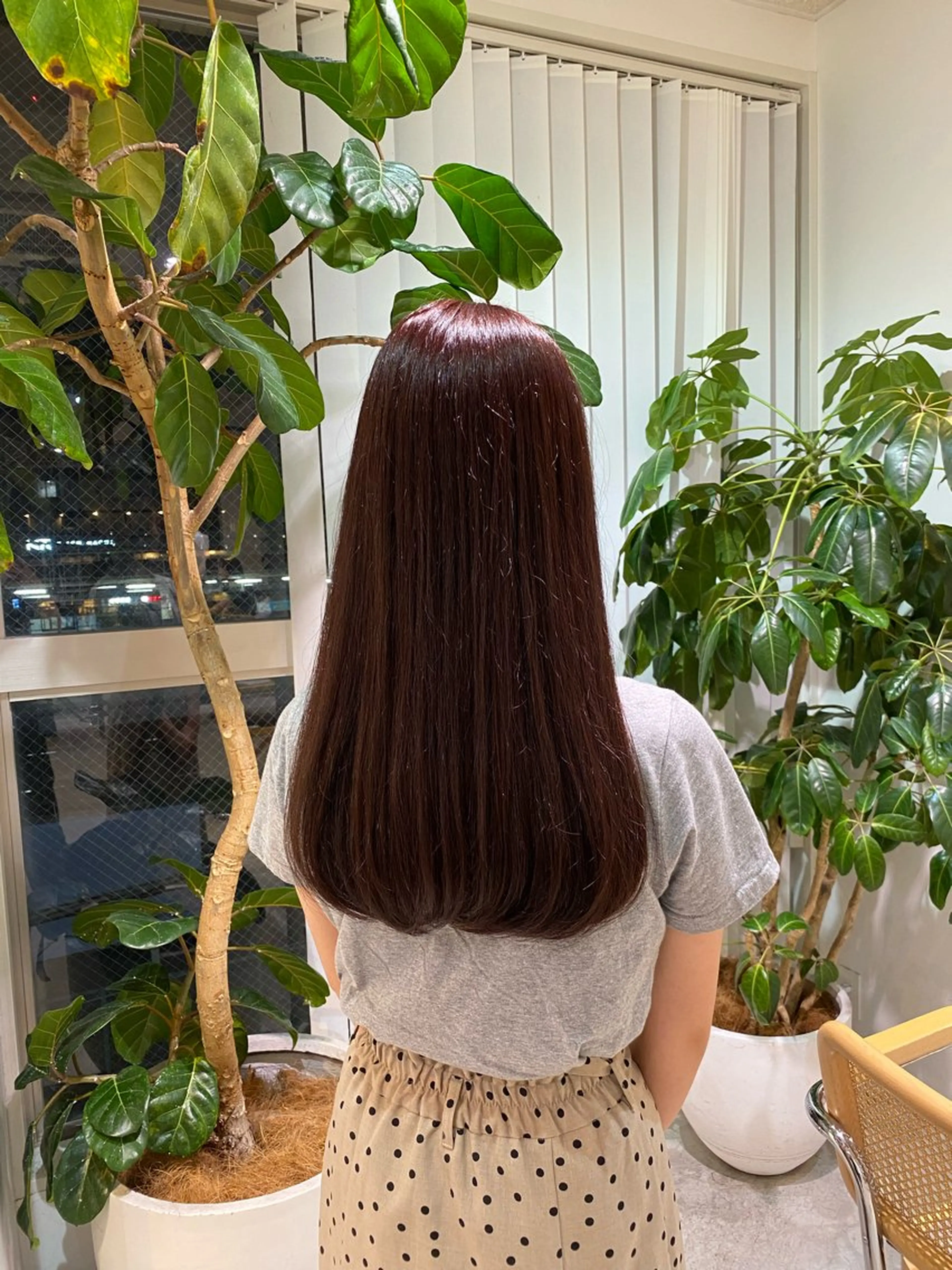 カラー FILMS haru 暖色/ぱつっとbobのヘアスタイル