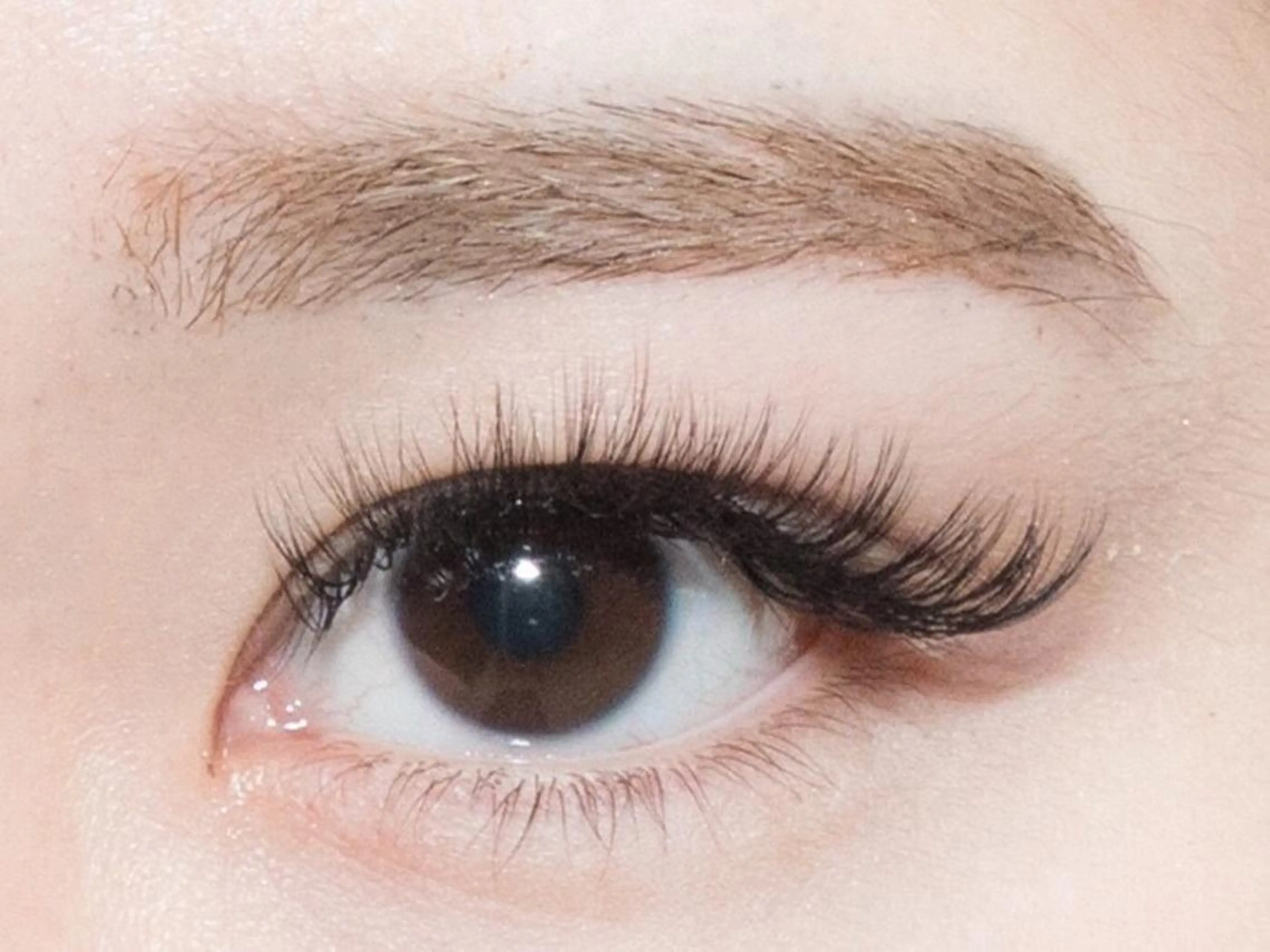 ネイル マツエク・マツパ 《大人気髪質改善》 プログレス国分寺店のヘアスタイル