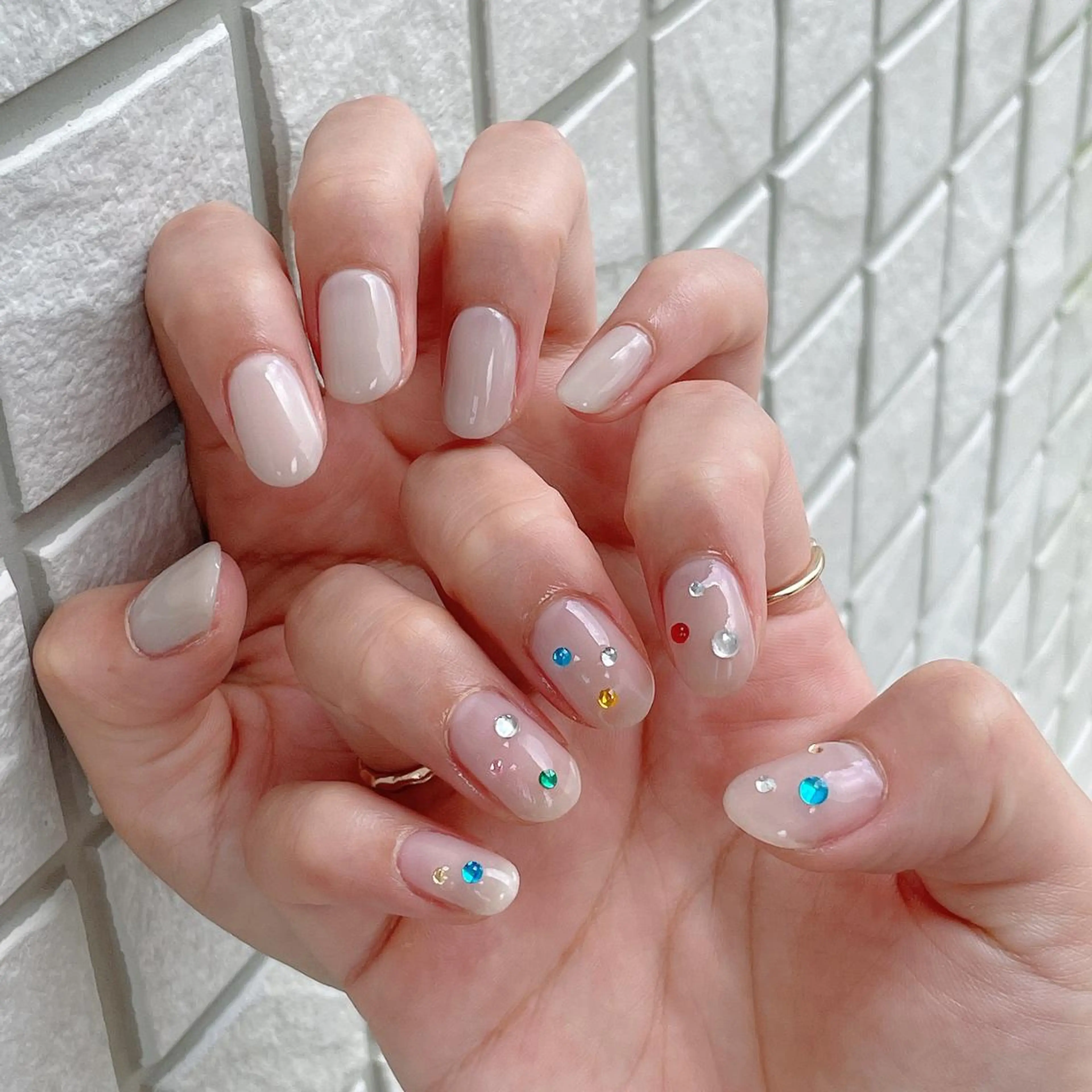 定額Ｍ／おまかせＭの写真