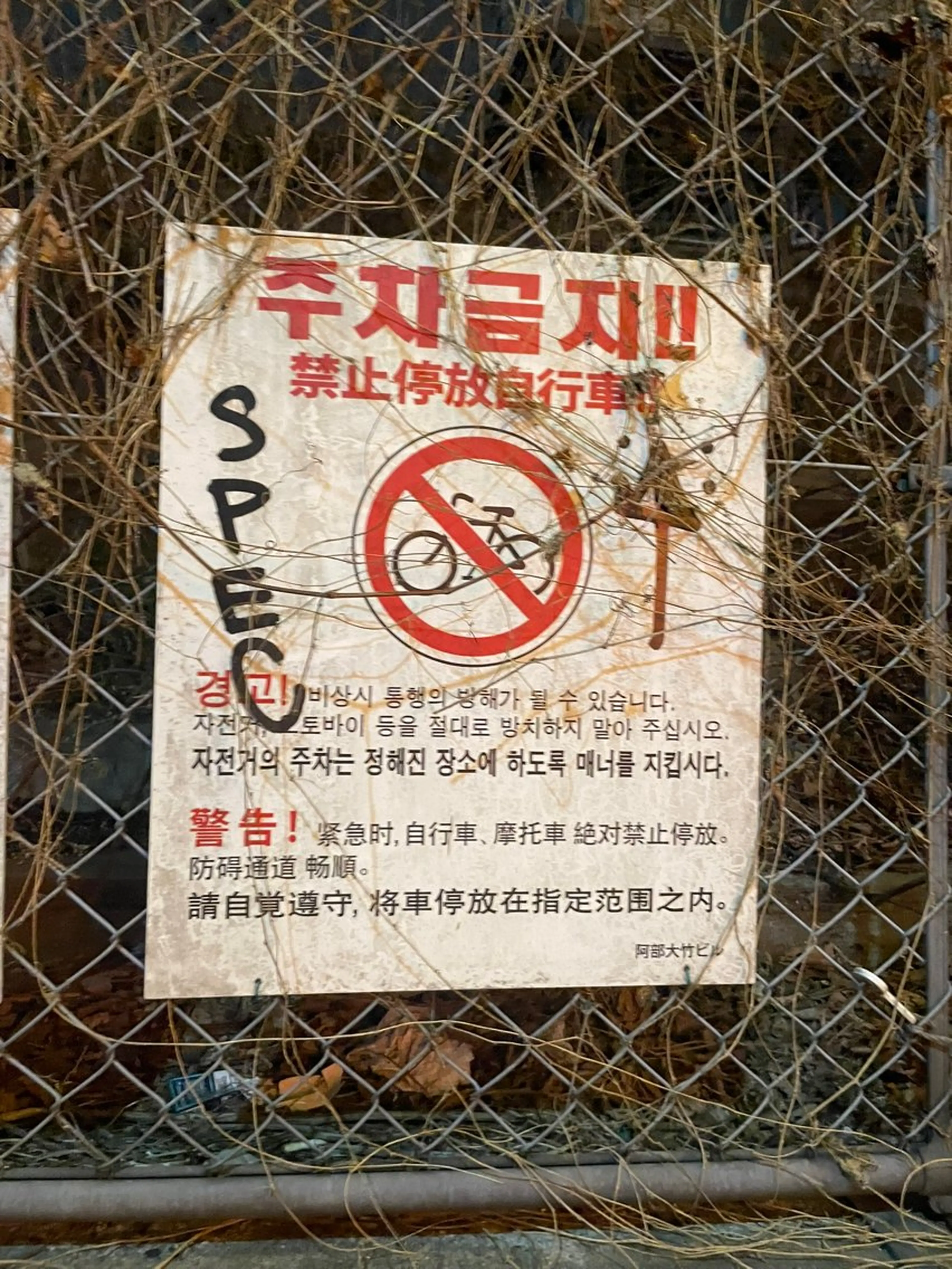 メンズカットモデル ✨️募集 萩原優人のヘアスタイル