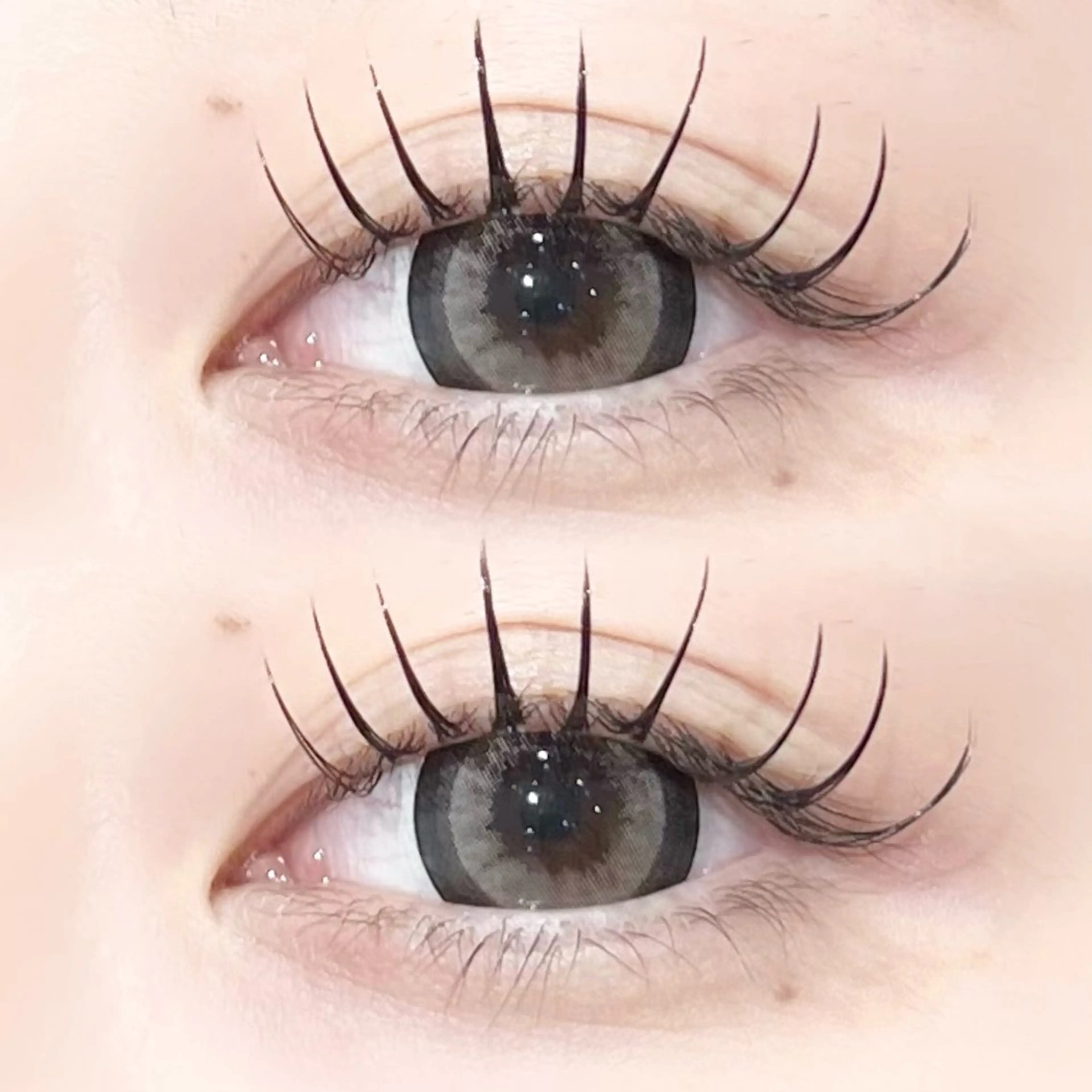 ãããšã¯ã»ããã ææãŸã€æ¯ Dã«ãŒã« ð€ðKONOHO ææãŸã€æ¯ðð€ã®ãããšã¯ã»ããããã¶ã€ã³