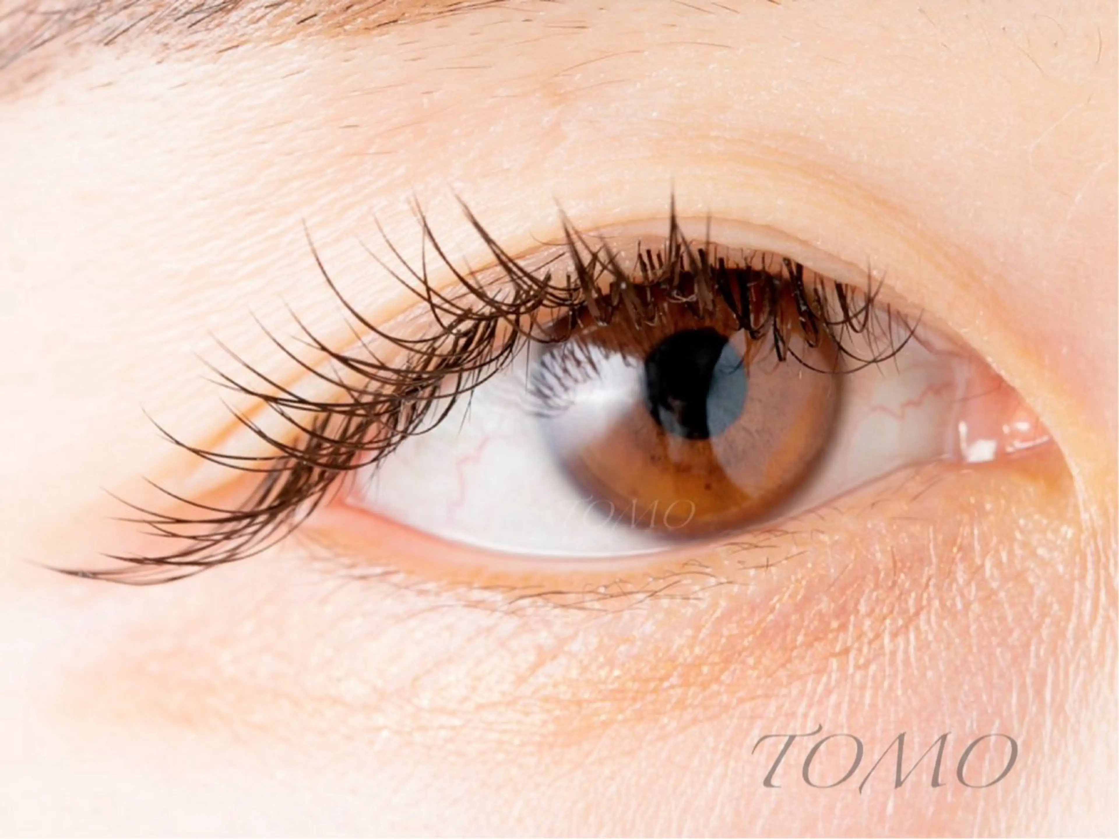 マツエク・マツパ マツエク eneru by arto🌻TOMOのマツエク・マツパデザイン