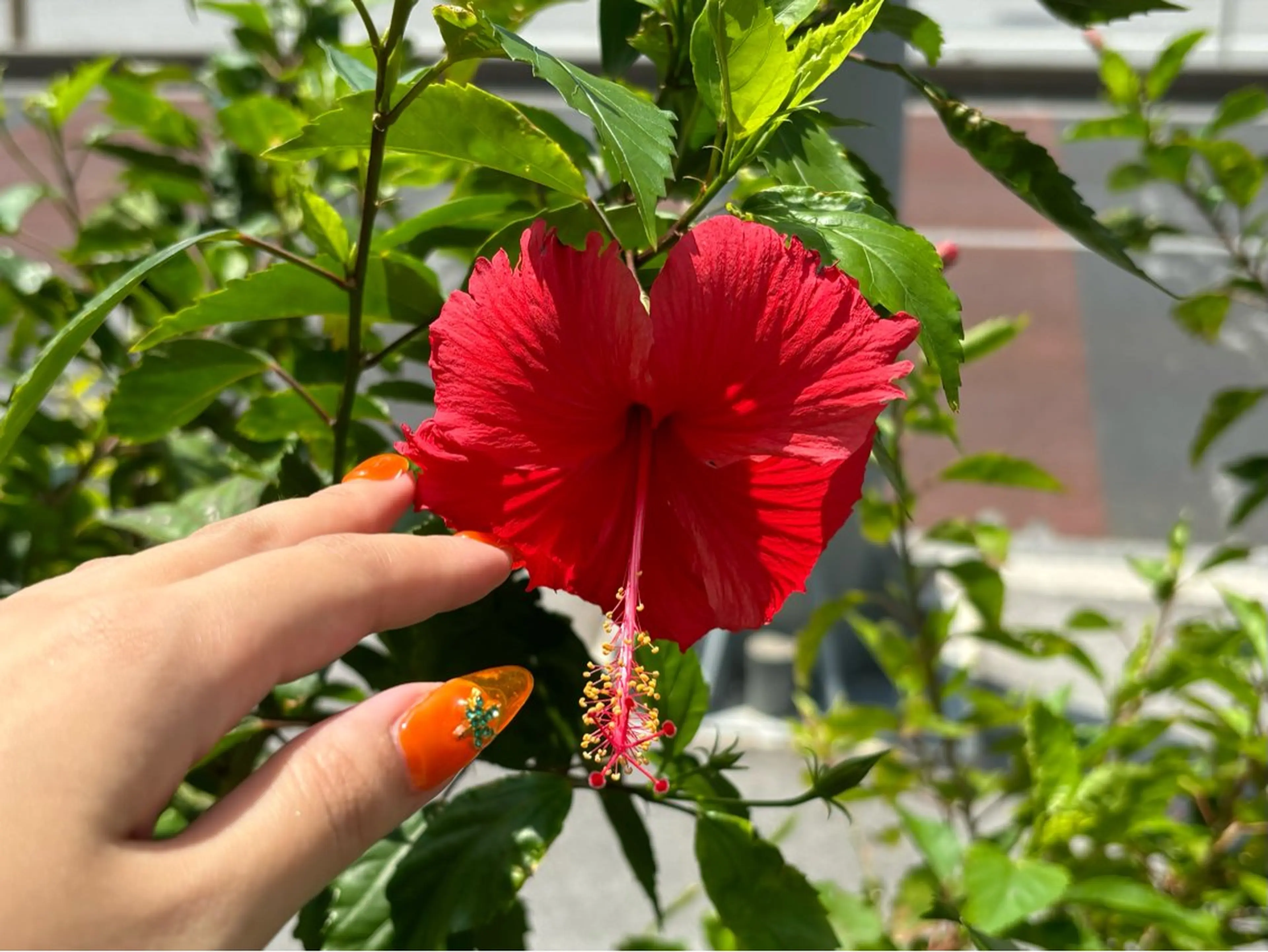 ネイル Queen所属・伊藤 梨恋のネイルデザイン