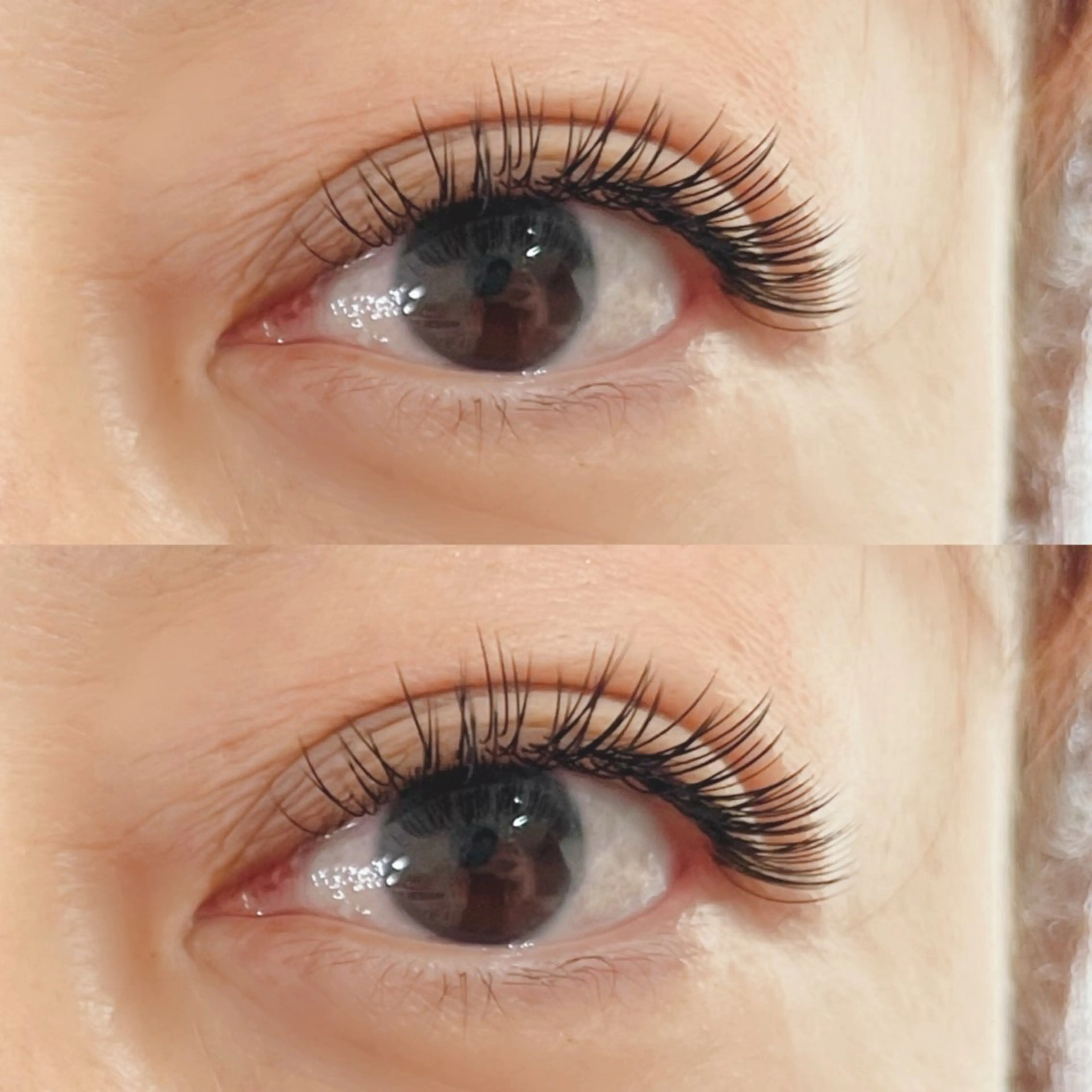 マツエク・マツパ フラットラッシュ アップワードラッシュ マツエク・マツパ FUKUMOTOのマツエク・マツパデザイン