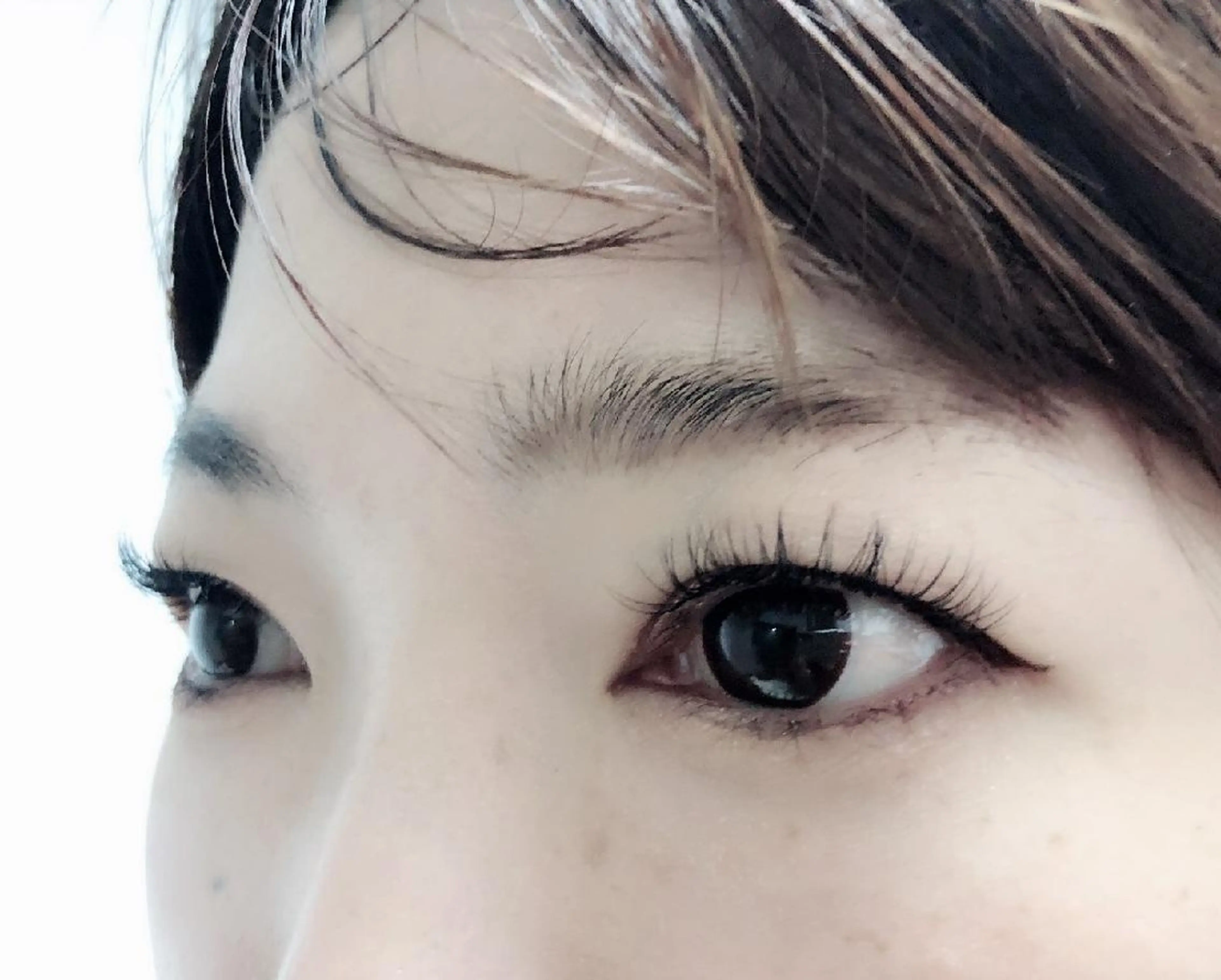 マツエク・マツパ 付け放題 キュート フラットラッシュ 下まつげエクステ 一重×まつ毛パーマ 吉岡 ゆうなのマツエク・マツパデザイン