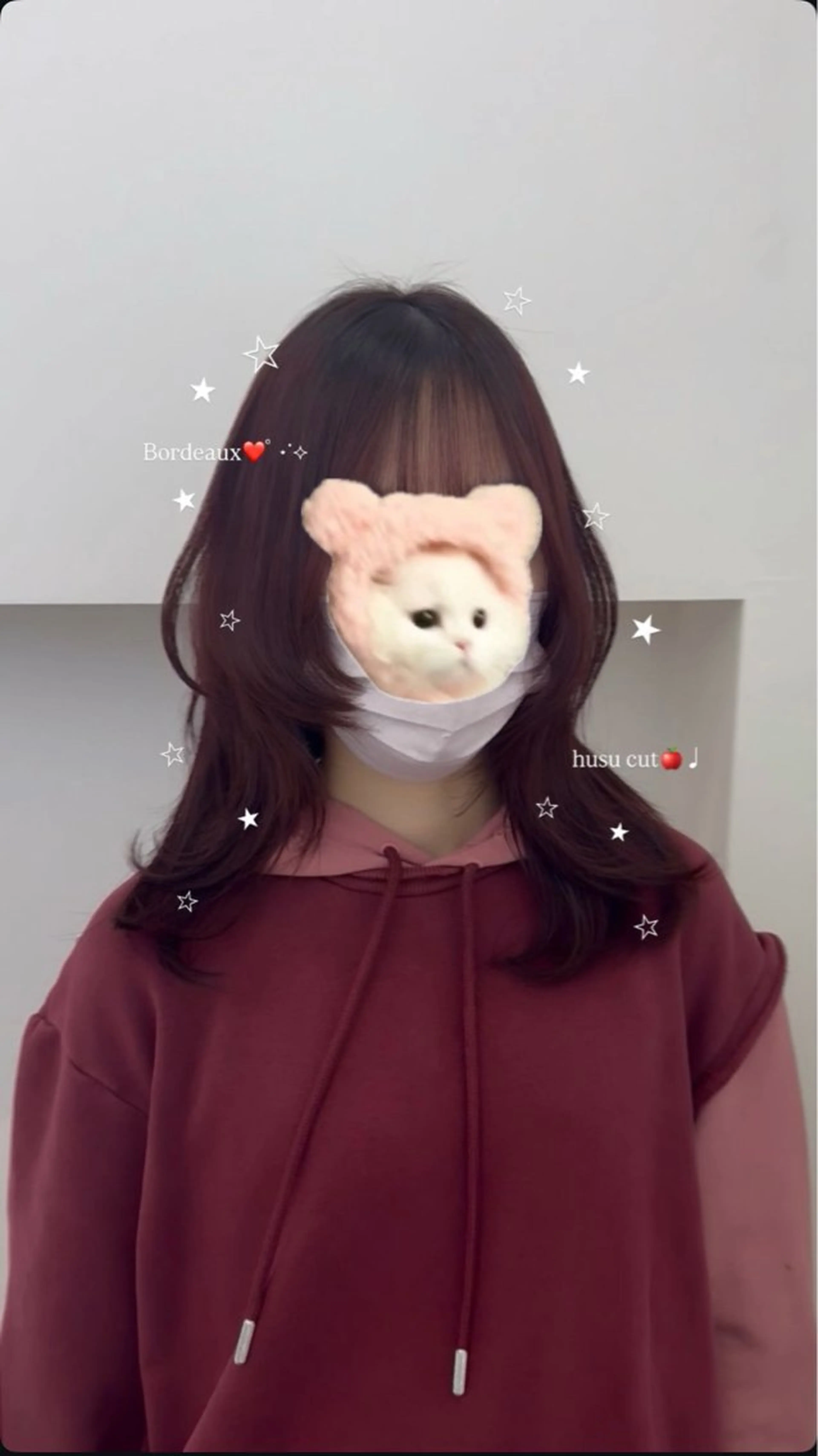 ミディアム カラー ボルドーカラー ハッシュカット レイヤーカット カット ヘアカラー KANO🐈‍⬛🎀 韓国風/レイヤーのヘアスタイル