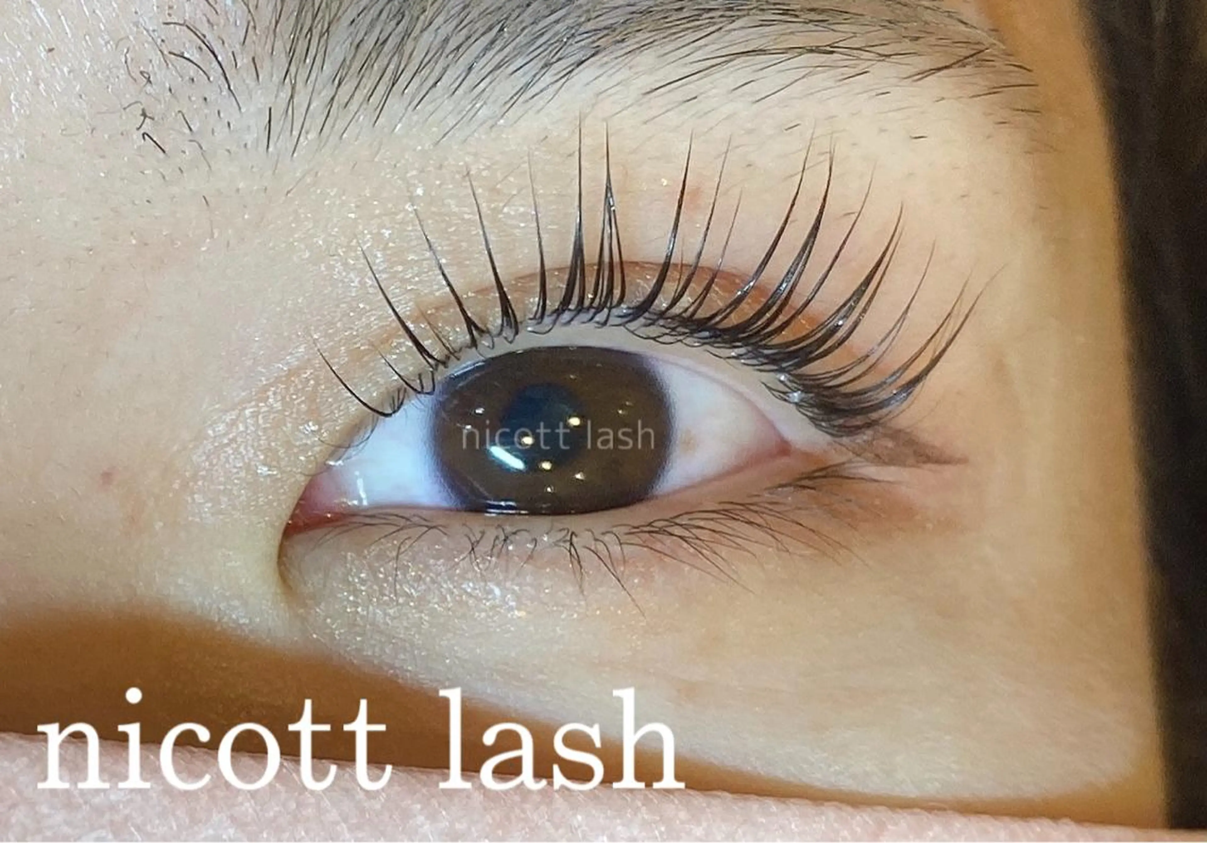 マツエク・マツパ パリジェンヌラッシュリフト nicottlash 天王寺店のマツエク・マツパデザイン