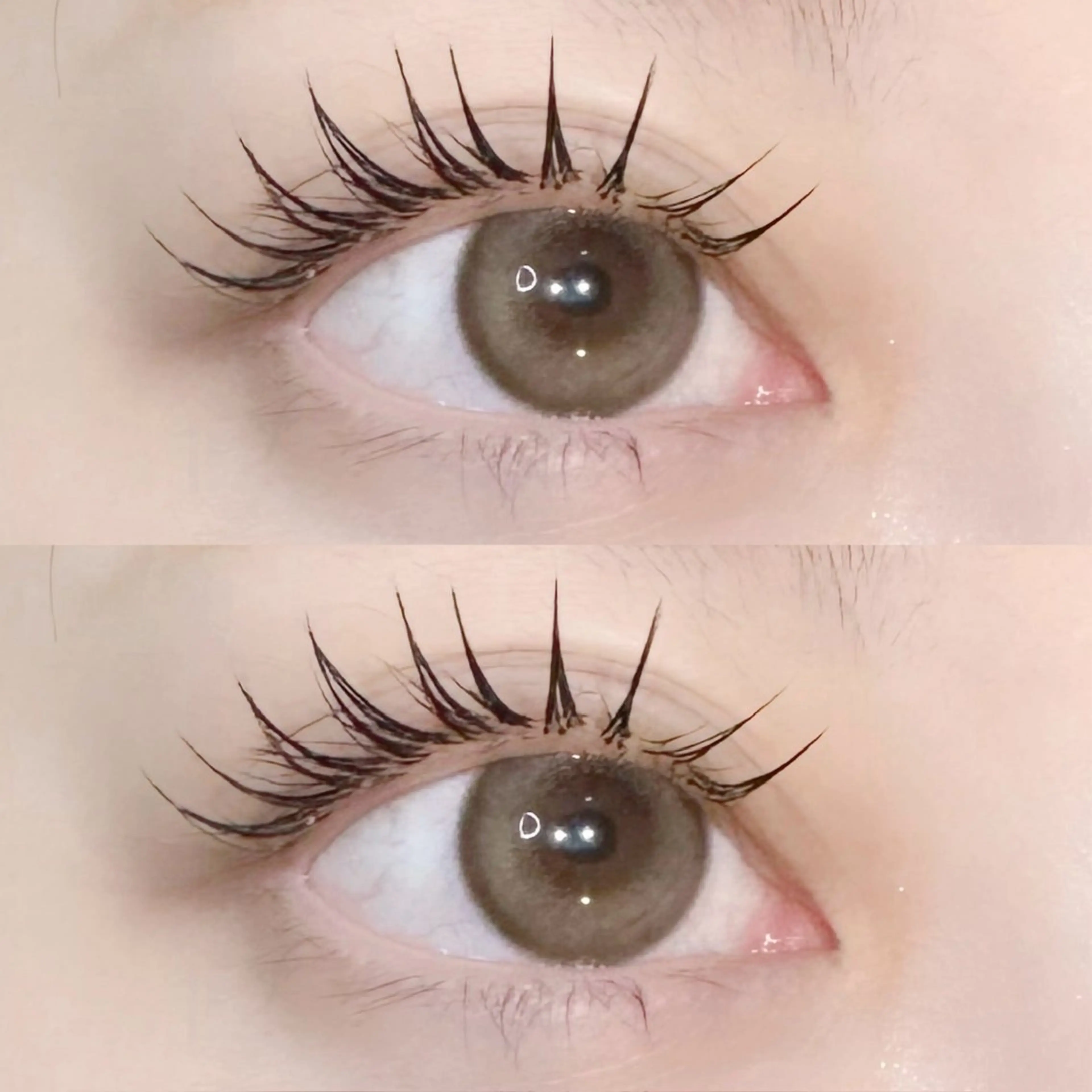 【オフ込み】🤍最先端･高持続＆密着🤍LEDフラットラッシュエクステ100本🦋の写真