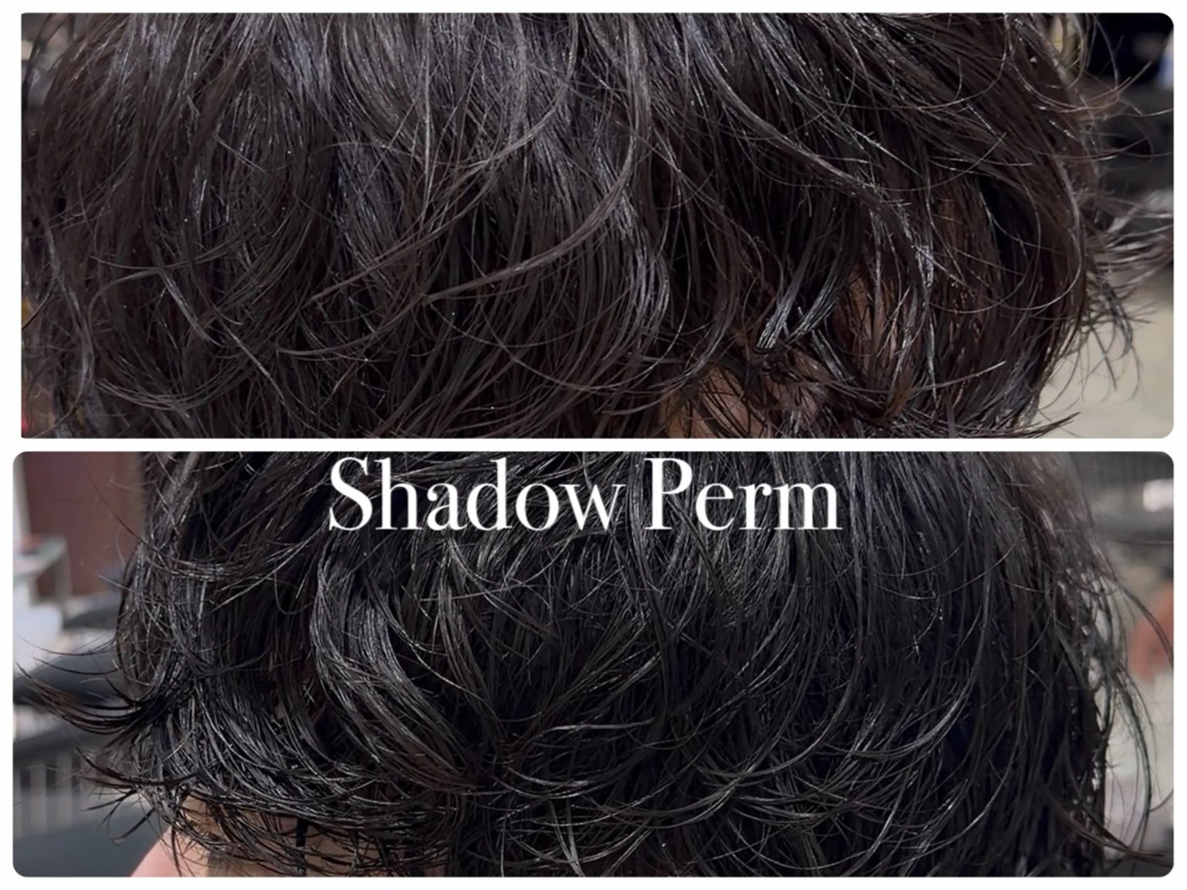 メンズ メンズパーマ カット パーマ トリートメント 🐲🌊men's 特化REN 🌊🐲のヘアスタイル