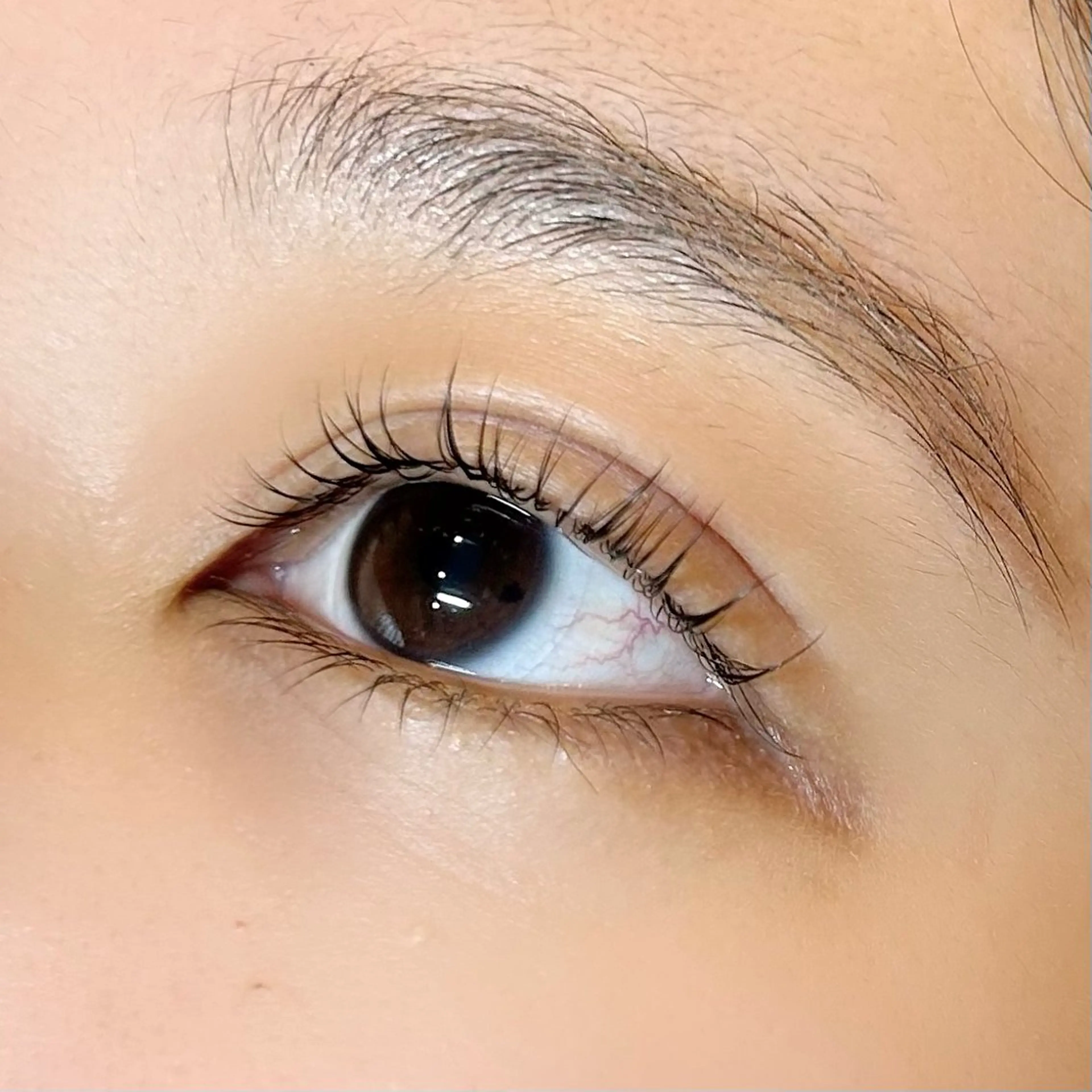 マツエク・マツパ デイジーラッシュ京橋 徳永のマツエク・マツパデザイン