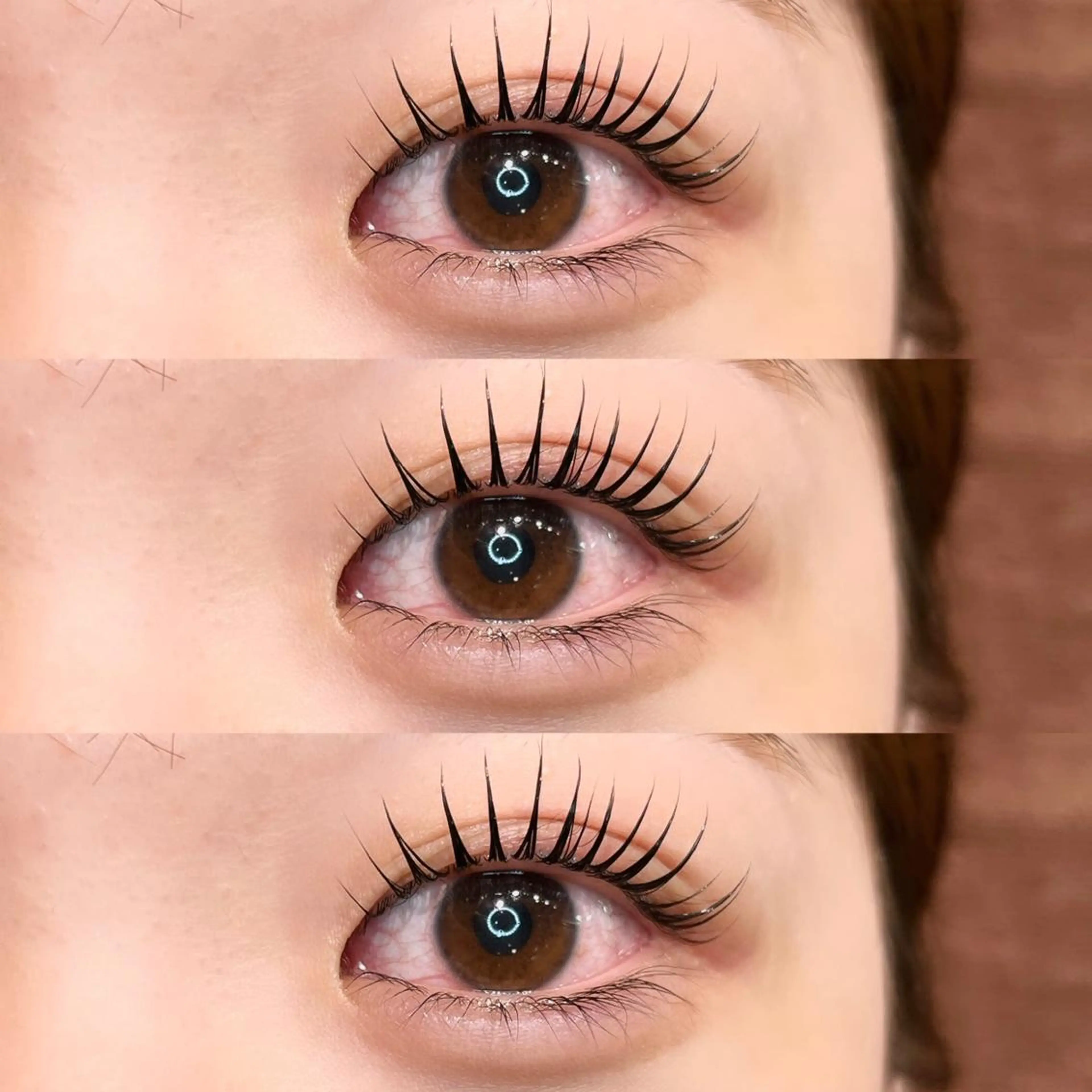 💎パリジェンヌラッシュリフト💎(コーティング付)  ご新規様￥5600 / リピーター様￥6600の写真