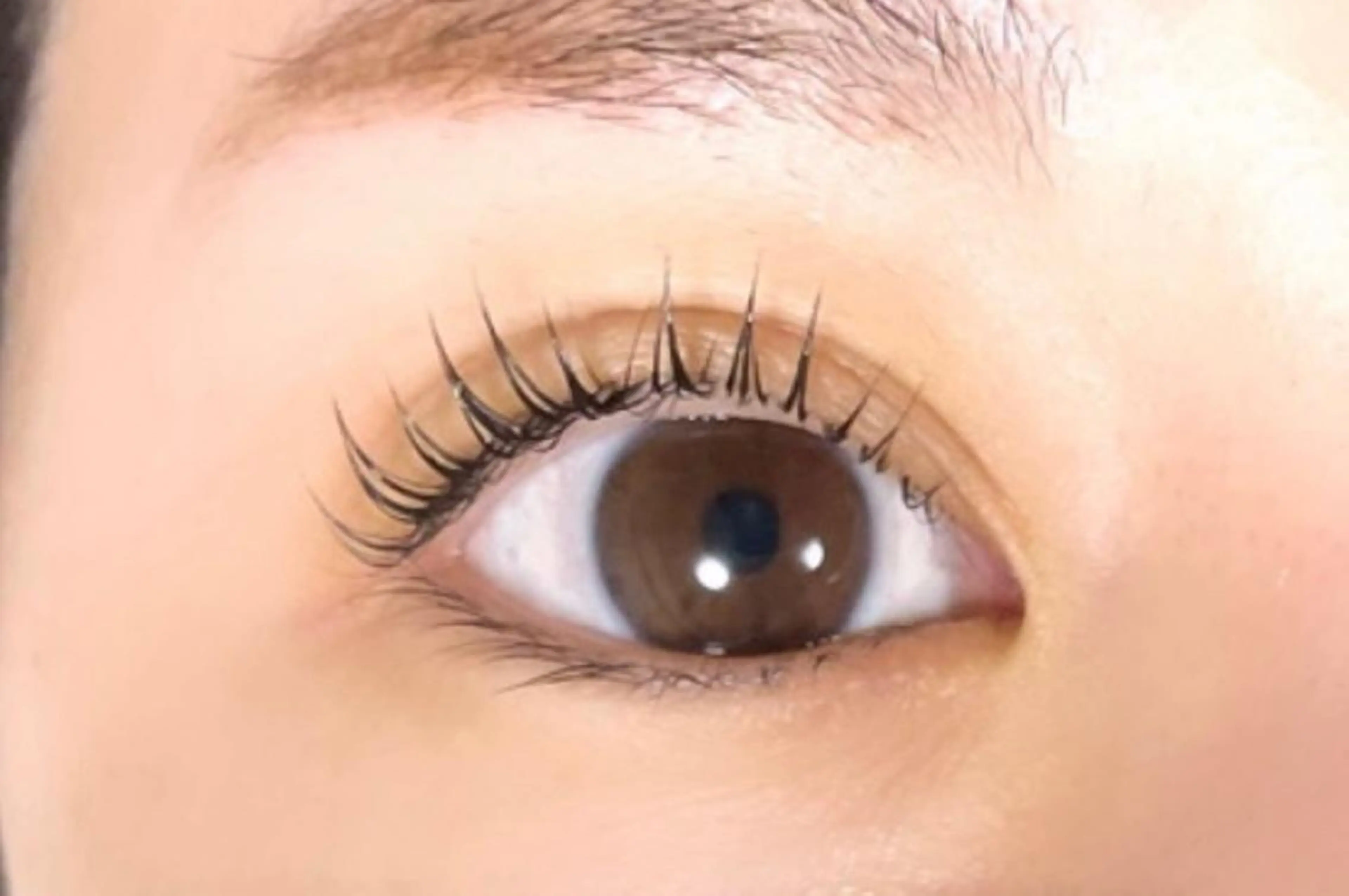 マツエク・マツパ パリジェンヌラッシュリフト マリーテレジア🤍 Suzukiのマツエク・マツパデザイン