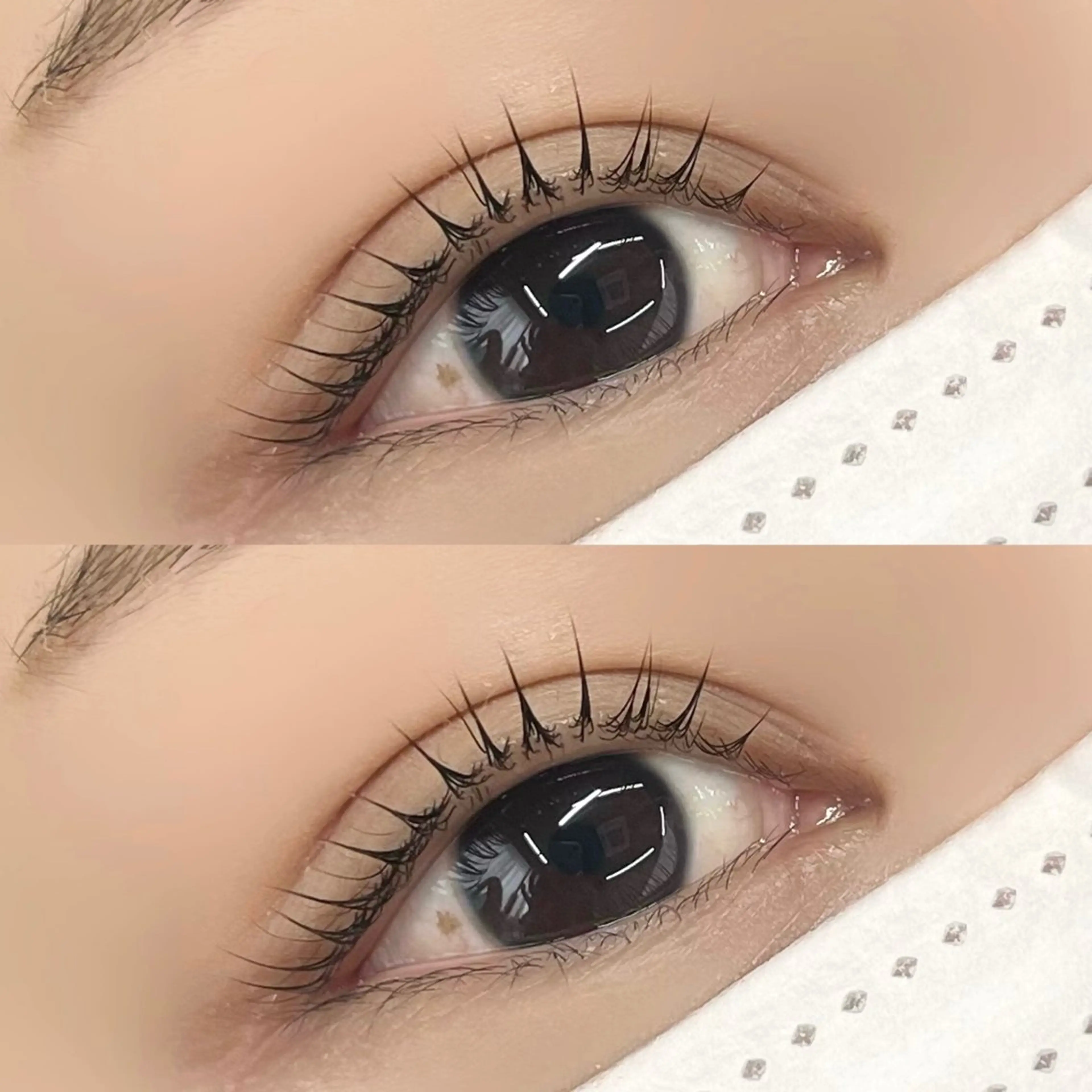 マツエク・マツパ マツパ 【LILY】伊沢/ バインド/パリ/エクのマツエク・マツパデザイン