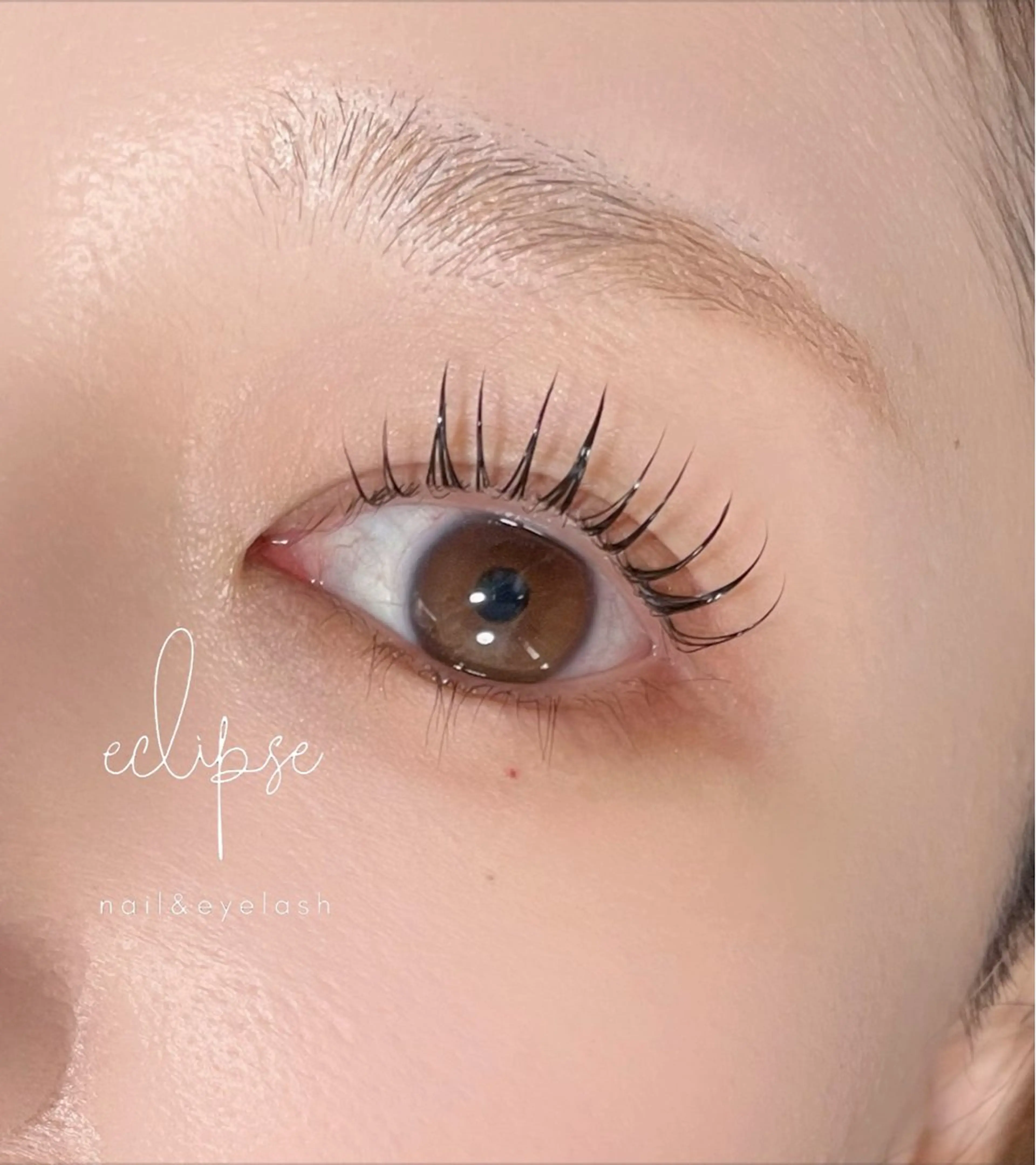 マツエク・マツパ マツパ eclipse eyelashのマツエク・マツパデザイン