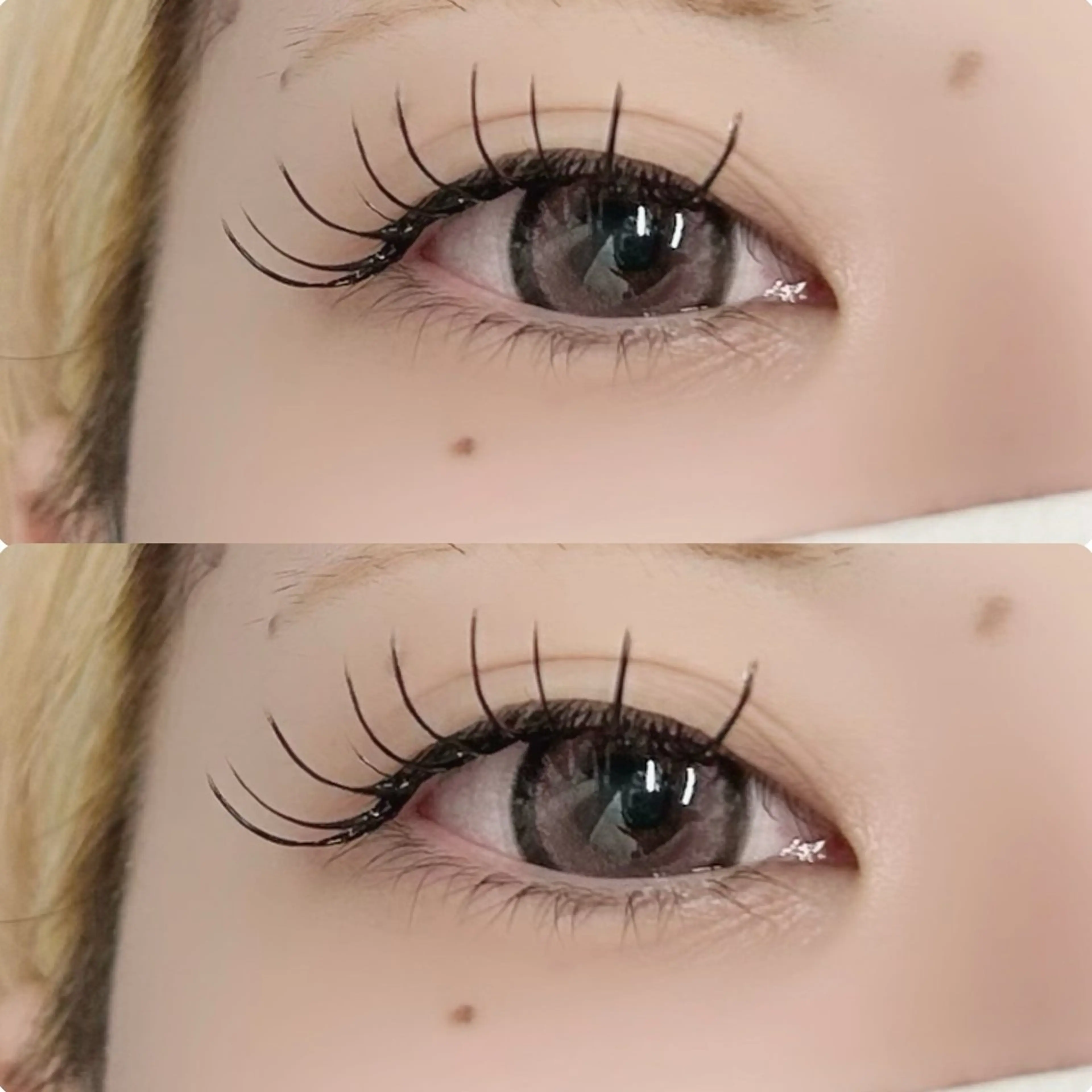 マツエク・マツパ マツエク パーマ指名No.1 🌼YUKARI🌼のマツエク・マツパデザイン