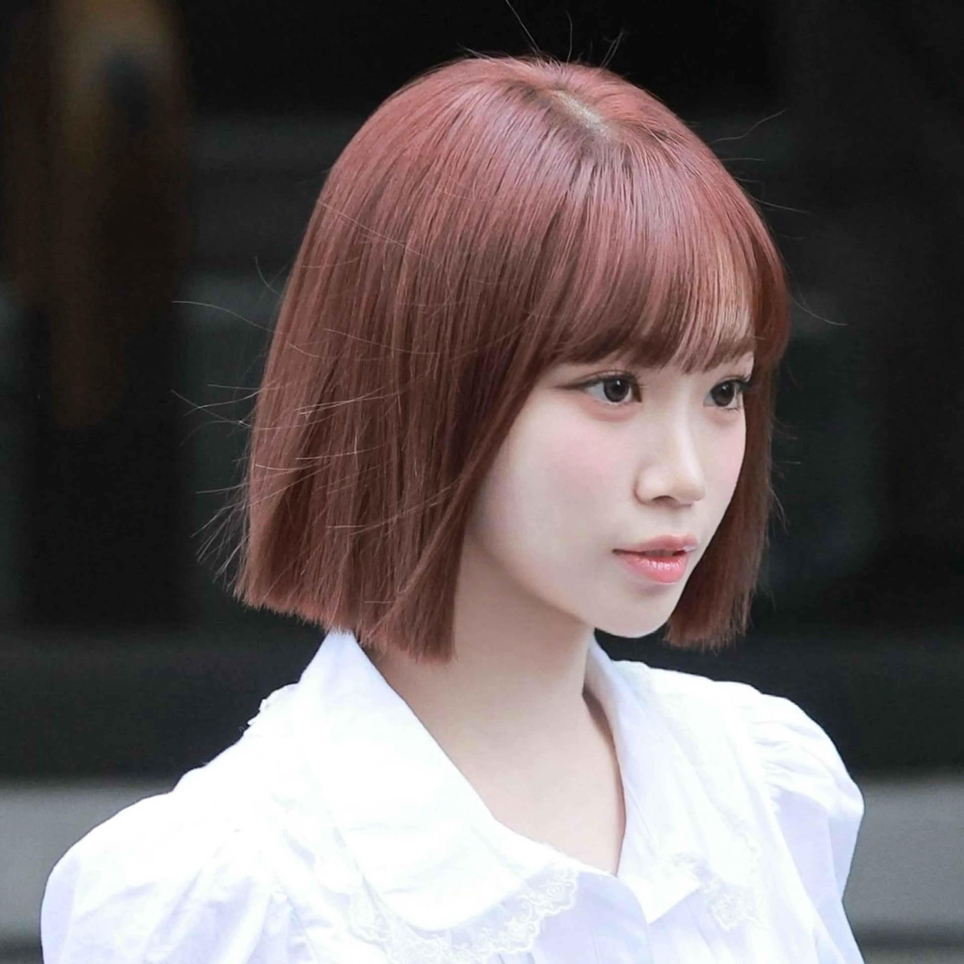 ショート ボブ 新宿/韓国ヘア kurea🎀のヘアスタイル