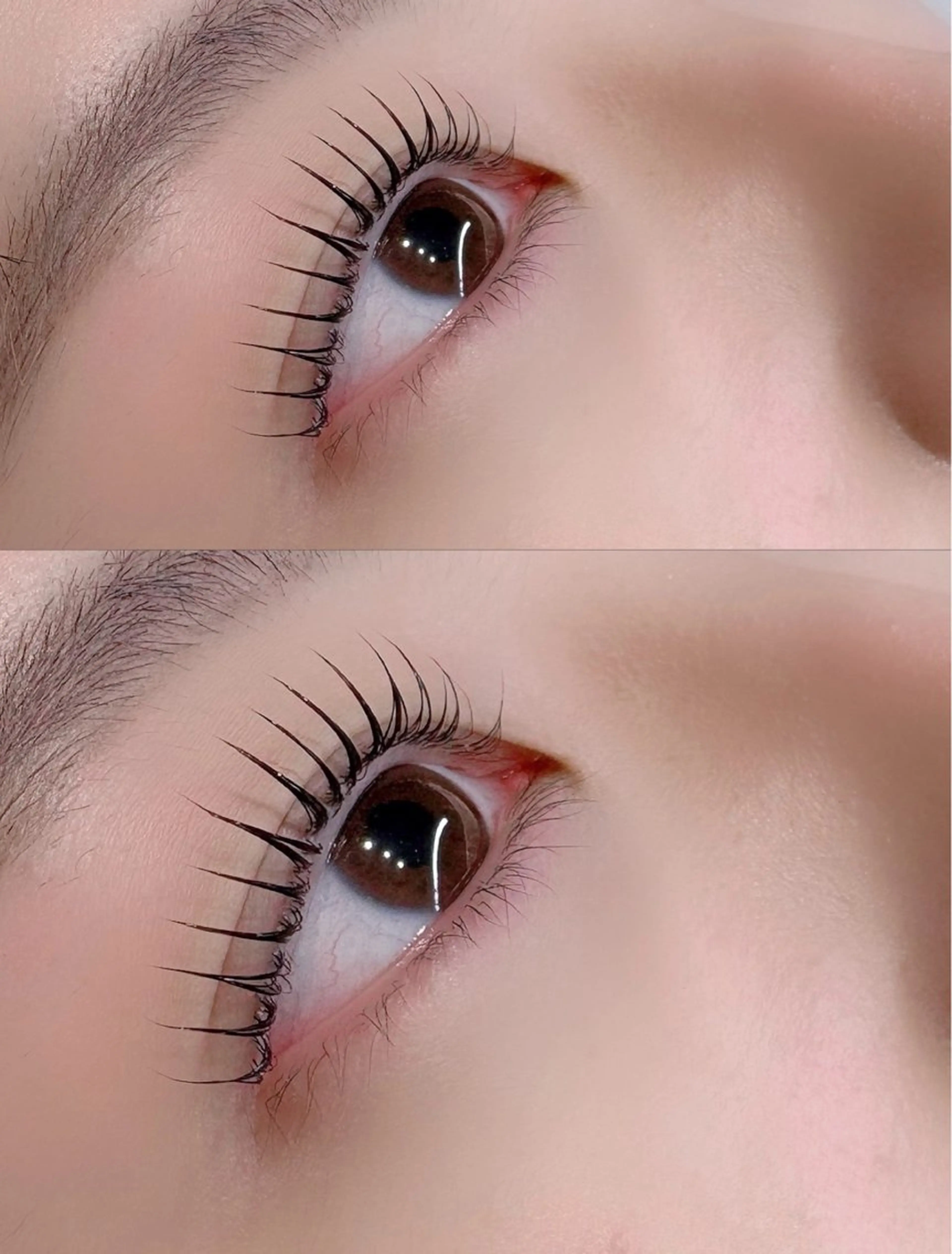 パーマ マツパ north pole 三条のマツエク・マツパデザイン