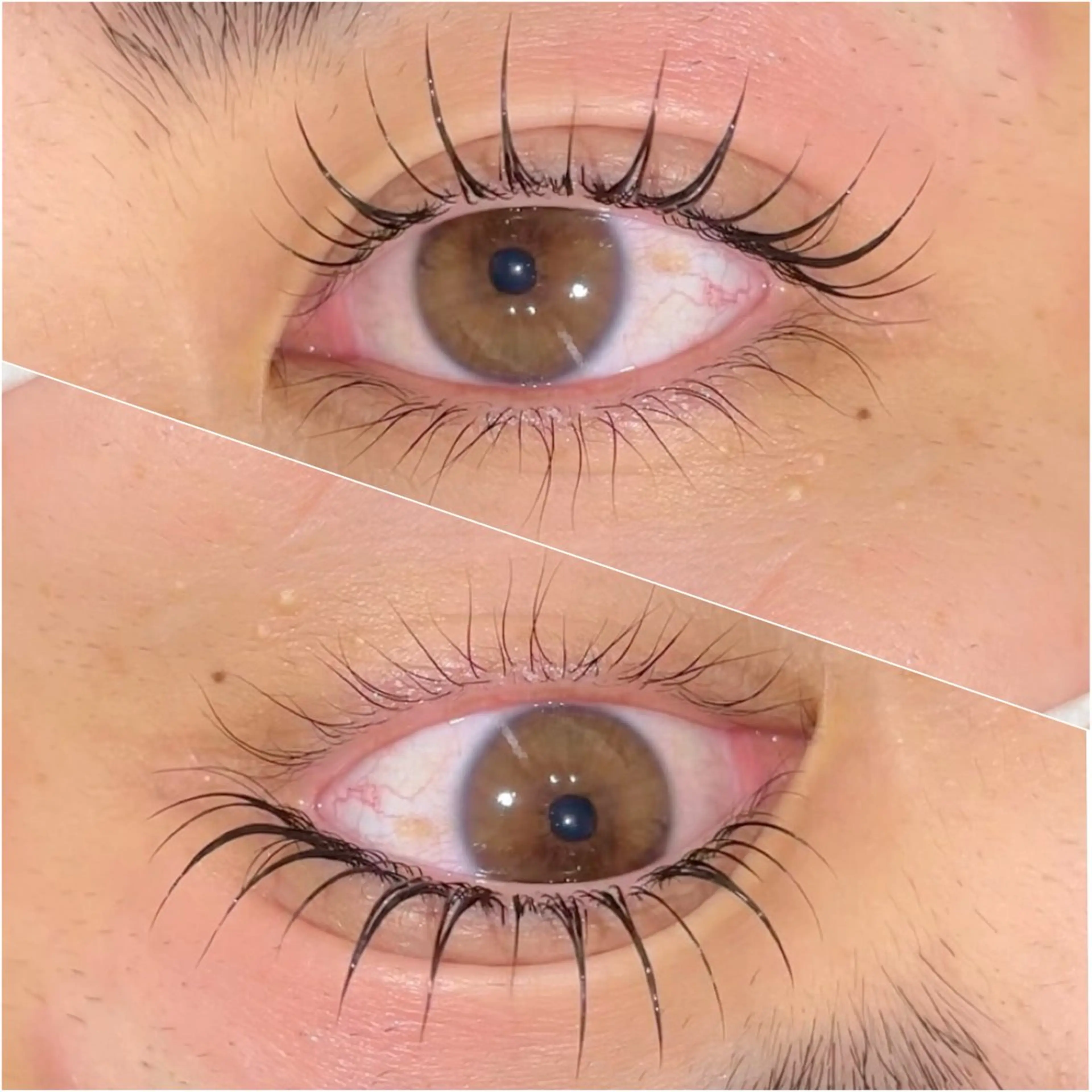 上下まつ毛パーマ 初回¥5000  再来¥6980の写真