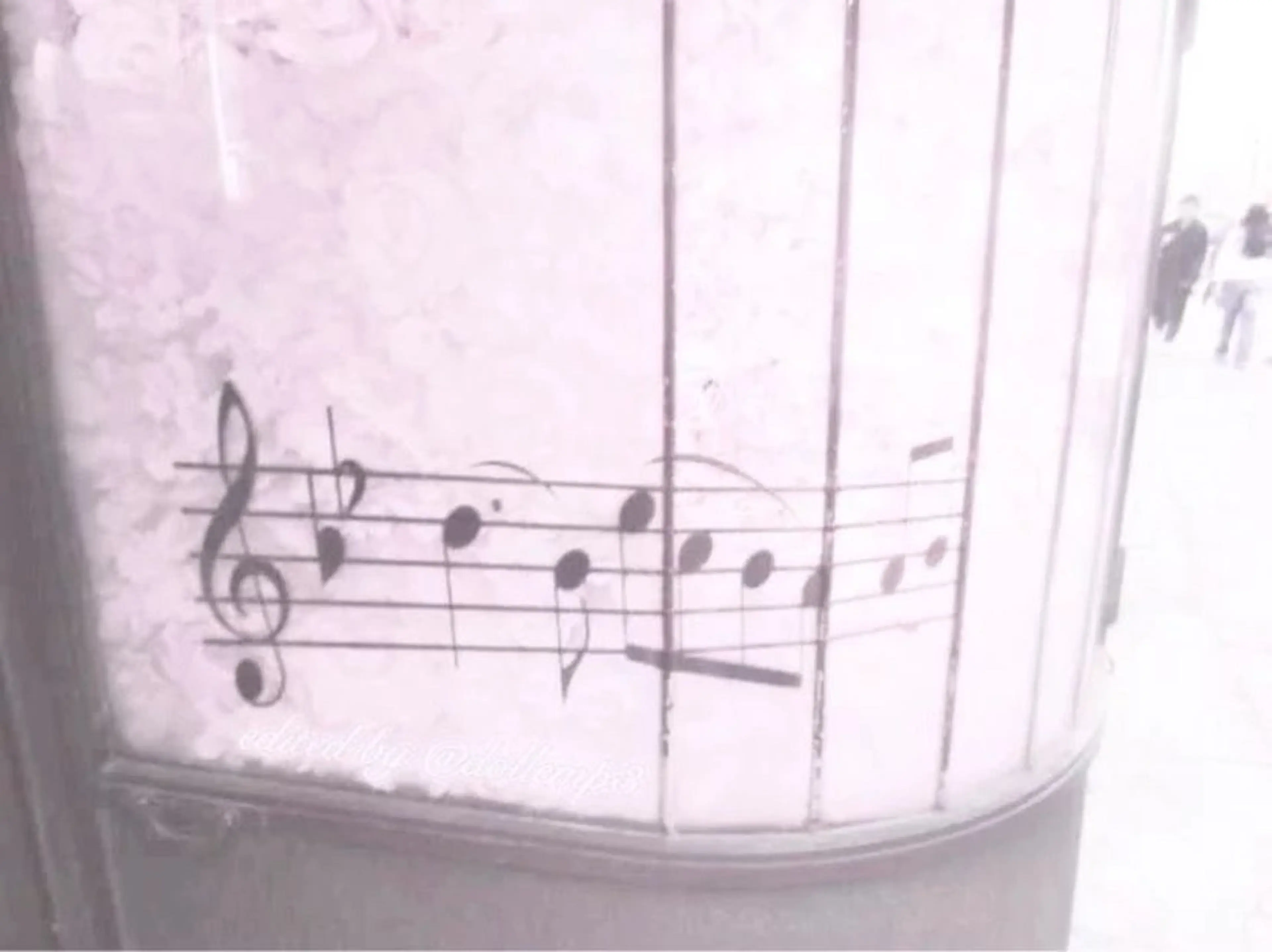 マツエク・マツパ amii横浜🐈🎼 山口のマツエク・マツパデザイン