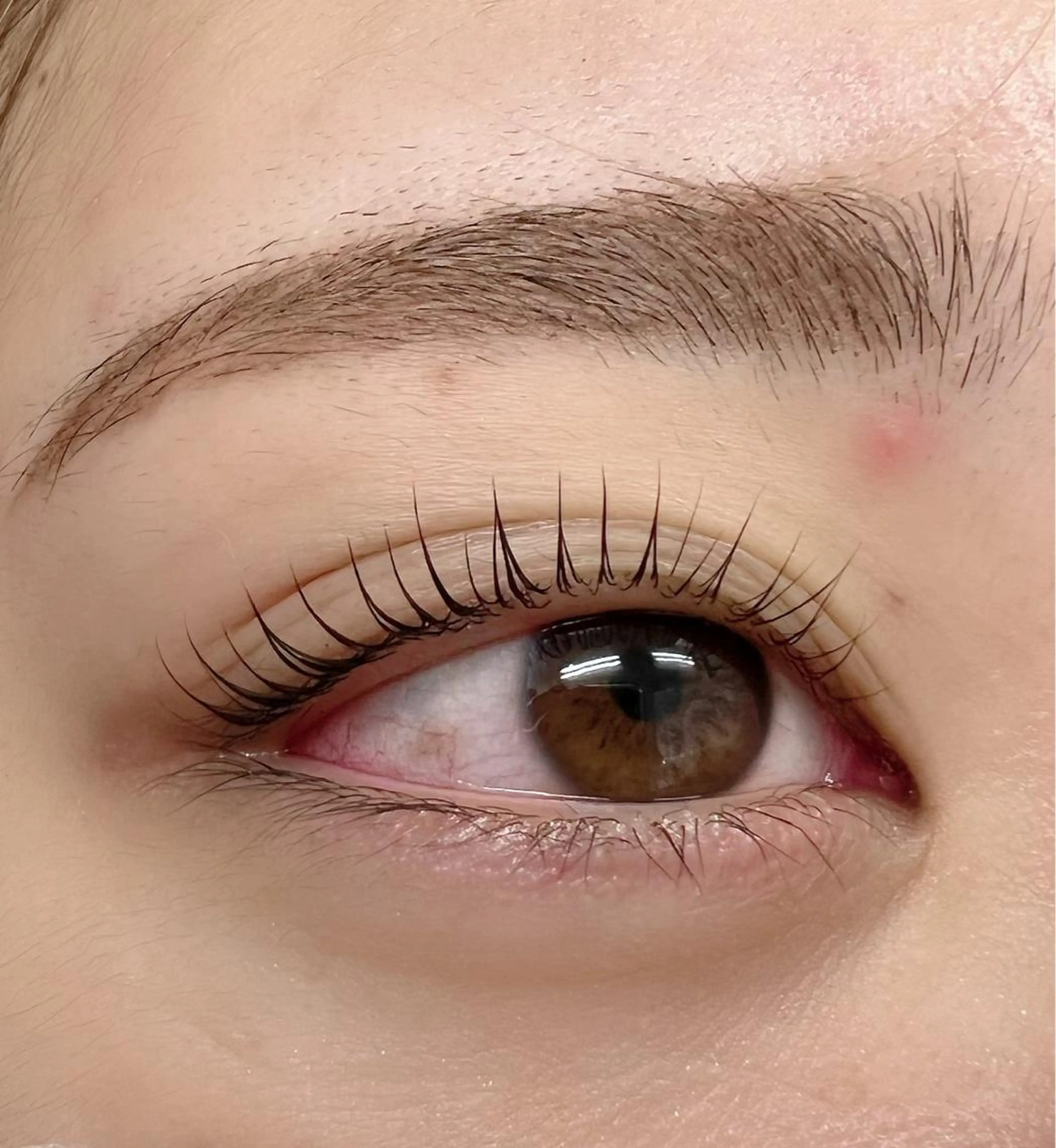 マツエク・マツパ WIKIRA 押上 さくらばのマツエク・マツパデザイン