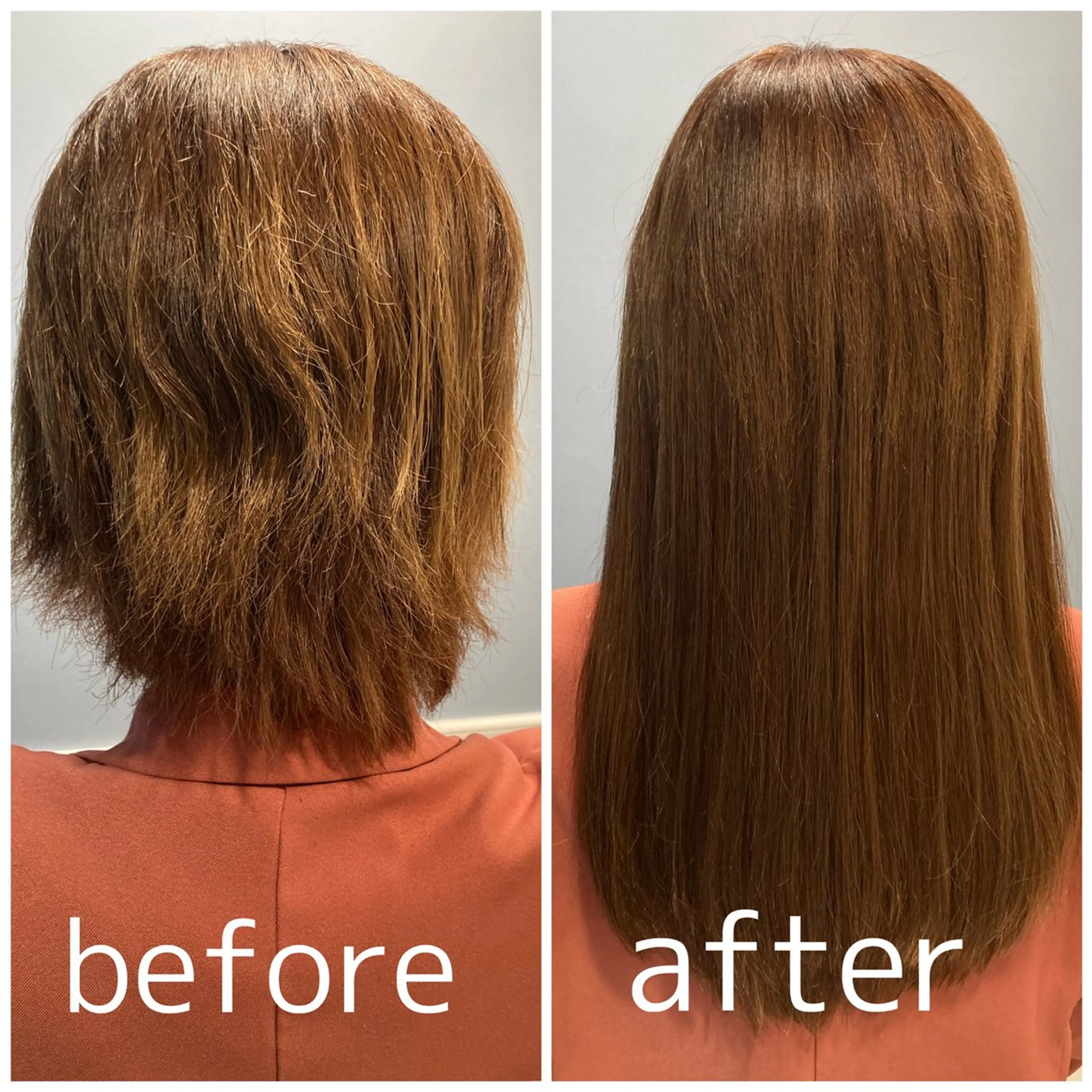 ショート 新宿 コットンのヘアスタイル