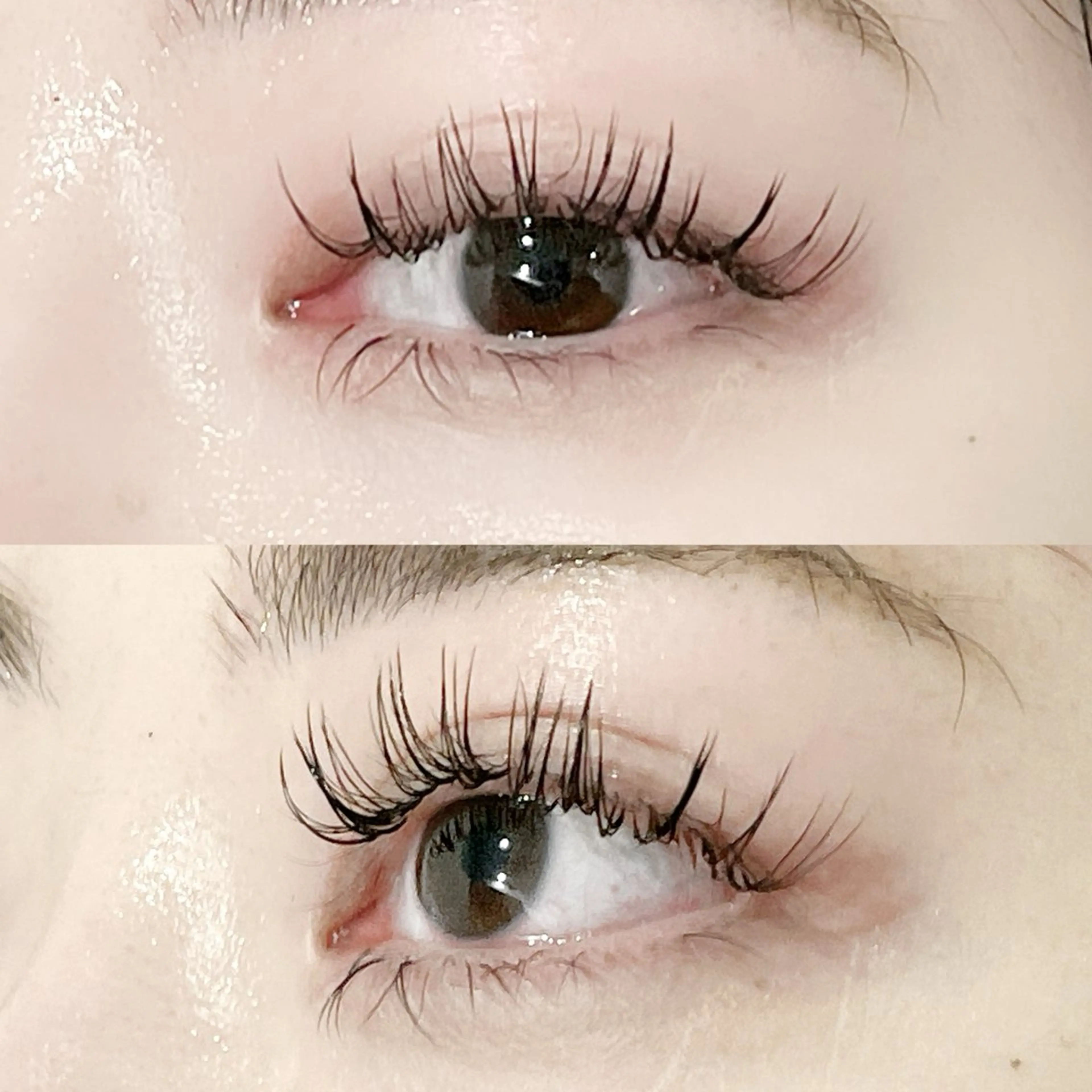 マツエク・マツパ フラットラッシュ Lカール Serina新宿南口 佐藤のマツエク・マツパデザイン