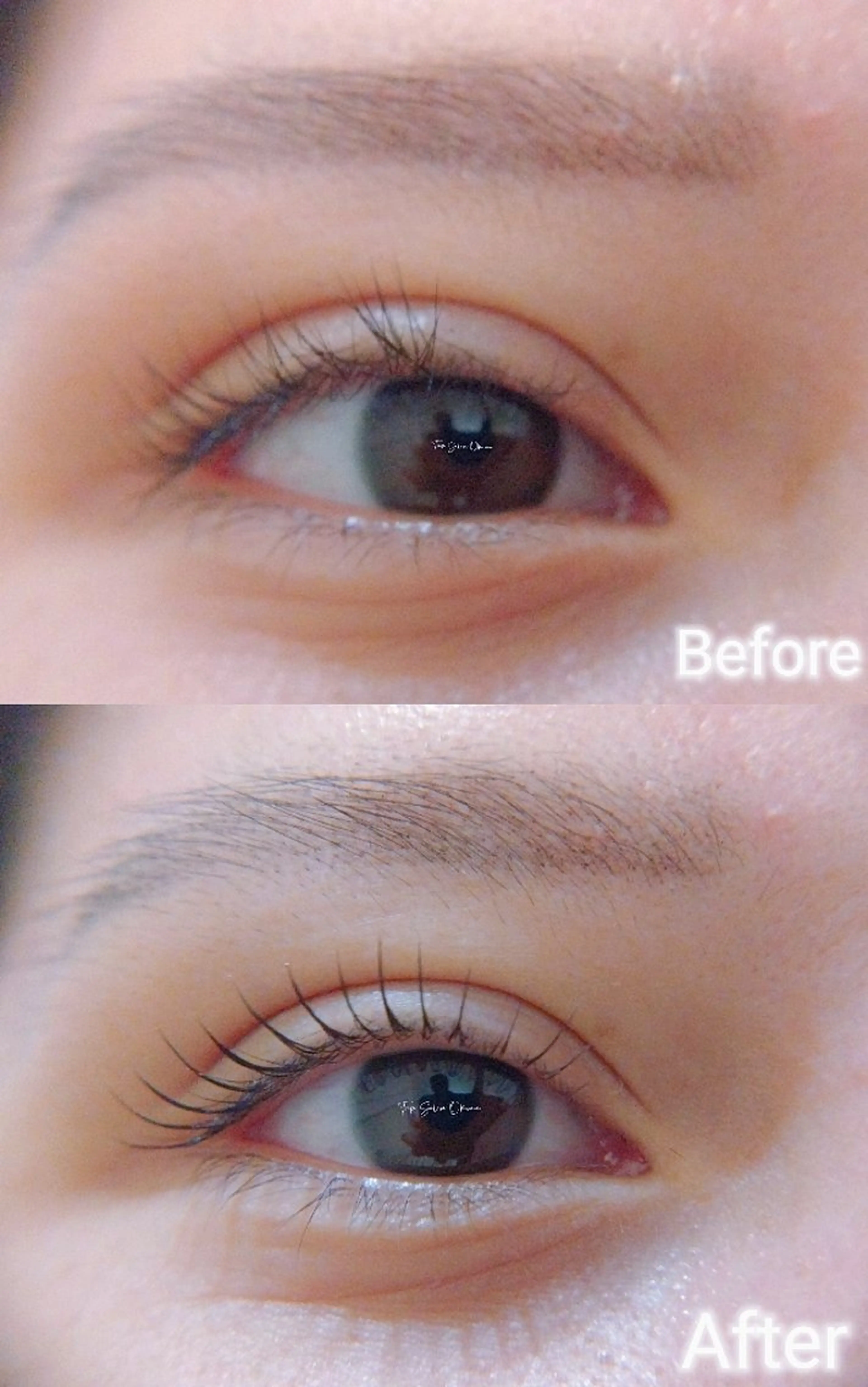 マツエク・マツパ マツパ ❤LEDまつぱ❤那覇 🅿️有、泉崎のマツエク・マツパデザイン