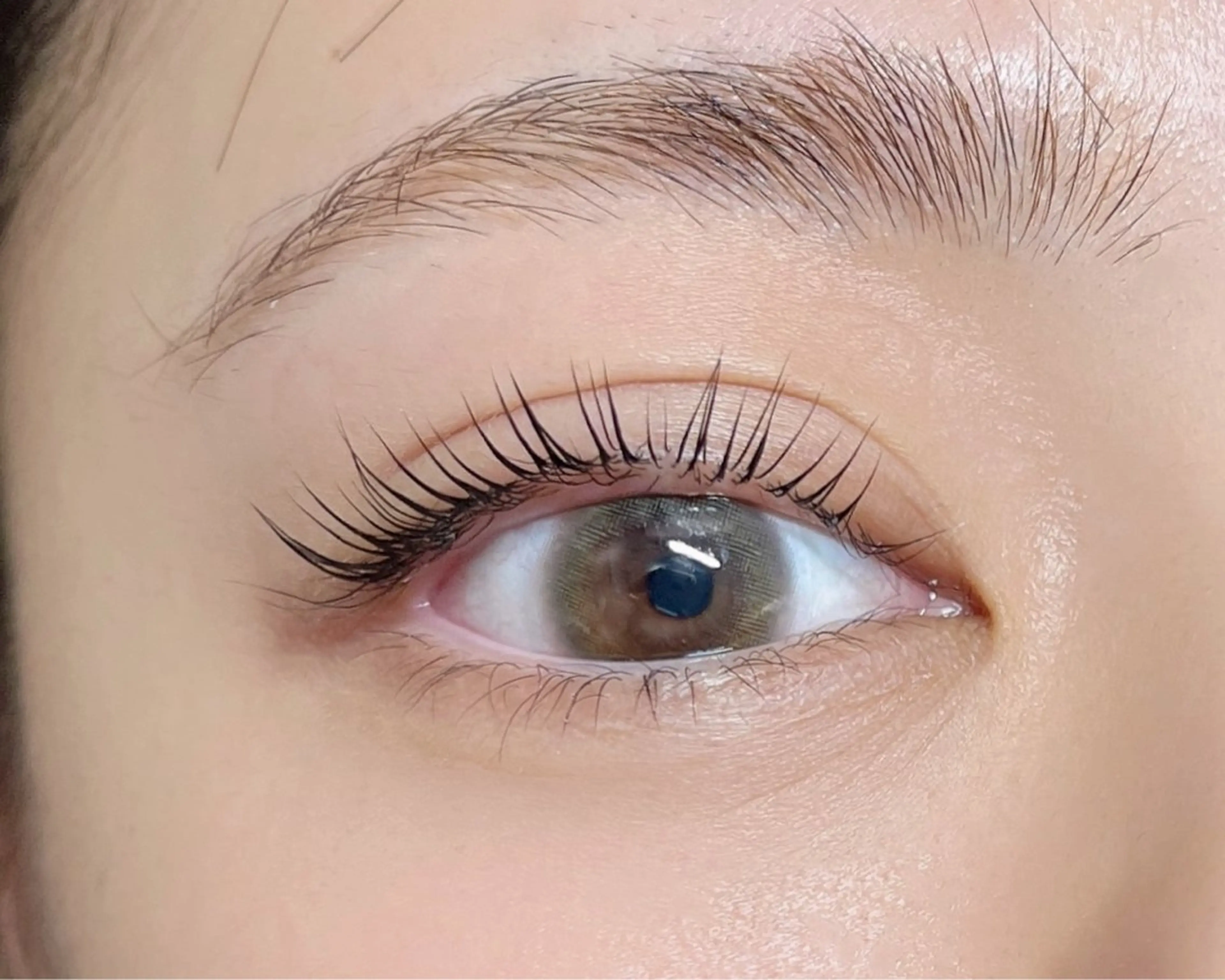 ✨パリジェンヌラッシュリフト✨【美容液コーティング付き】の写真