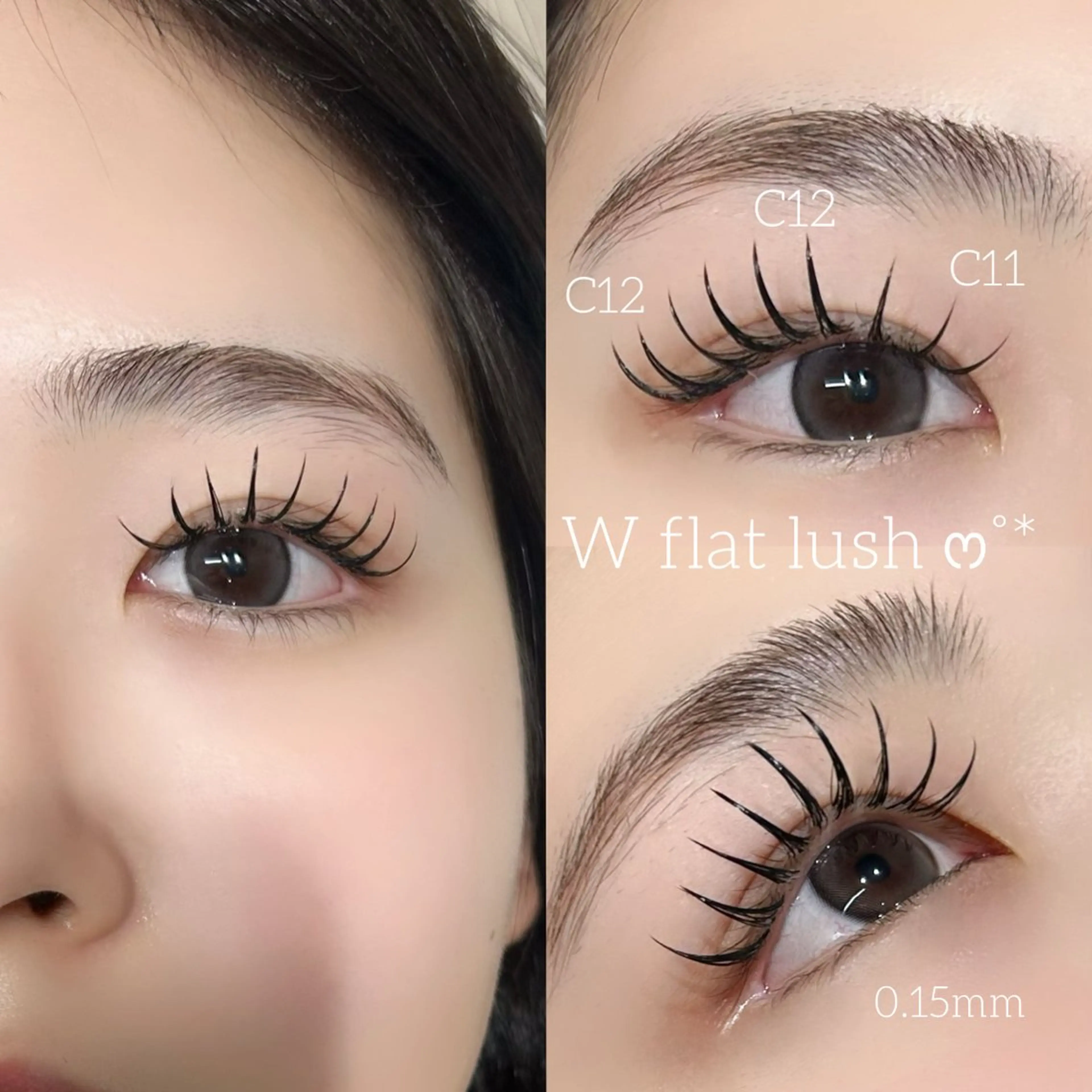 【minimo限定価格‼️】Wフラットラッシュ60〜80束の写真