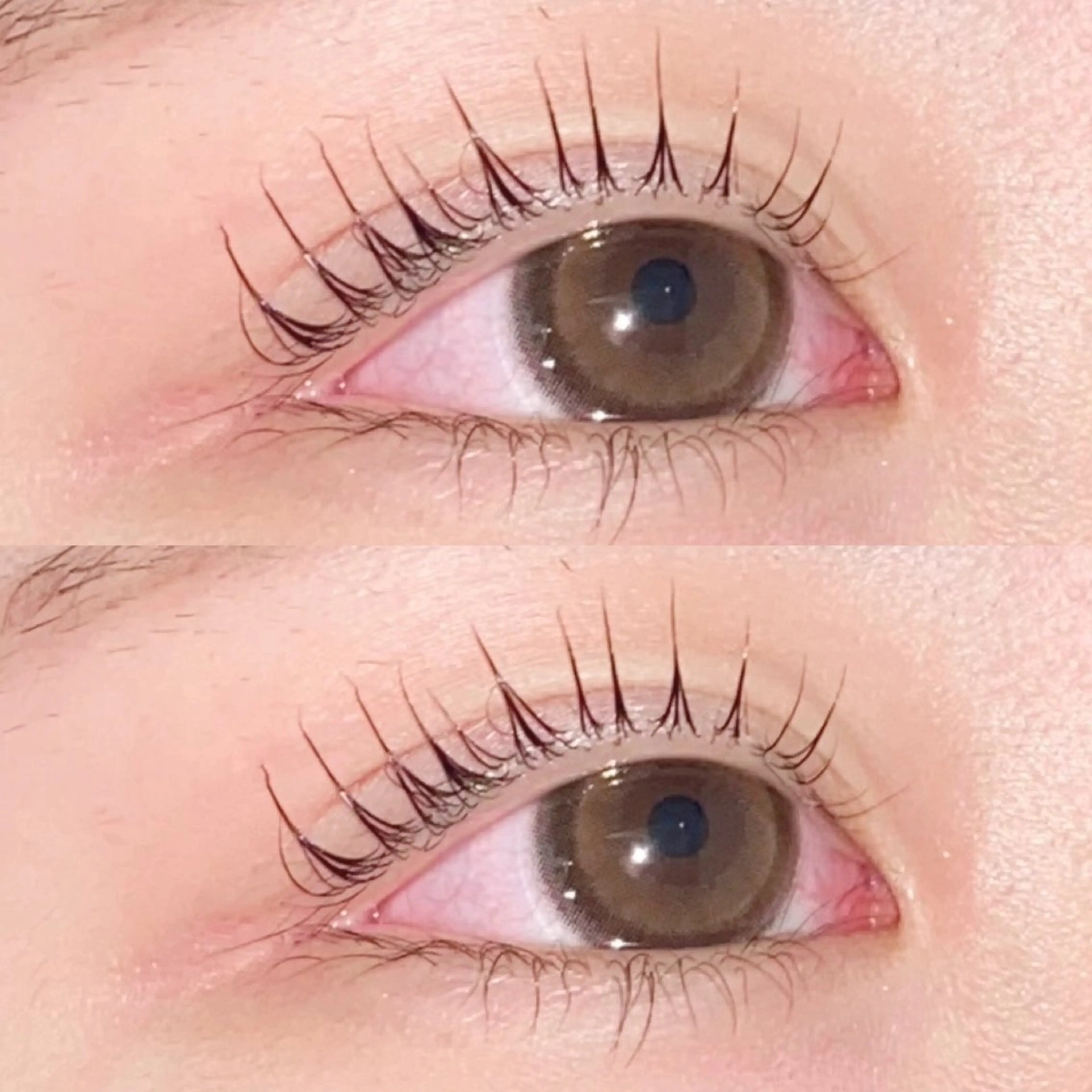 マツエク・マツパ Miyu🦋 【Angelica】のマツエク・マツパデザイン