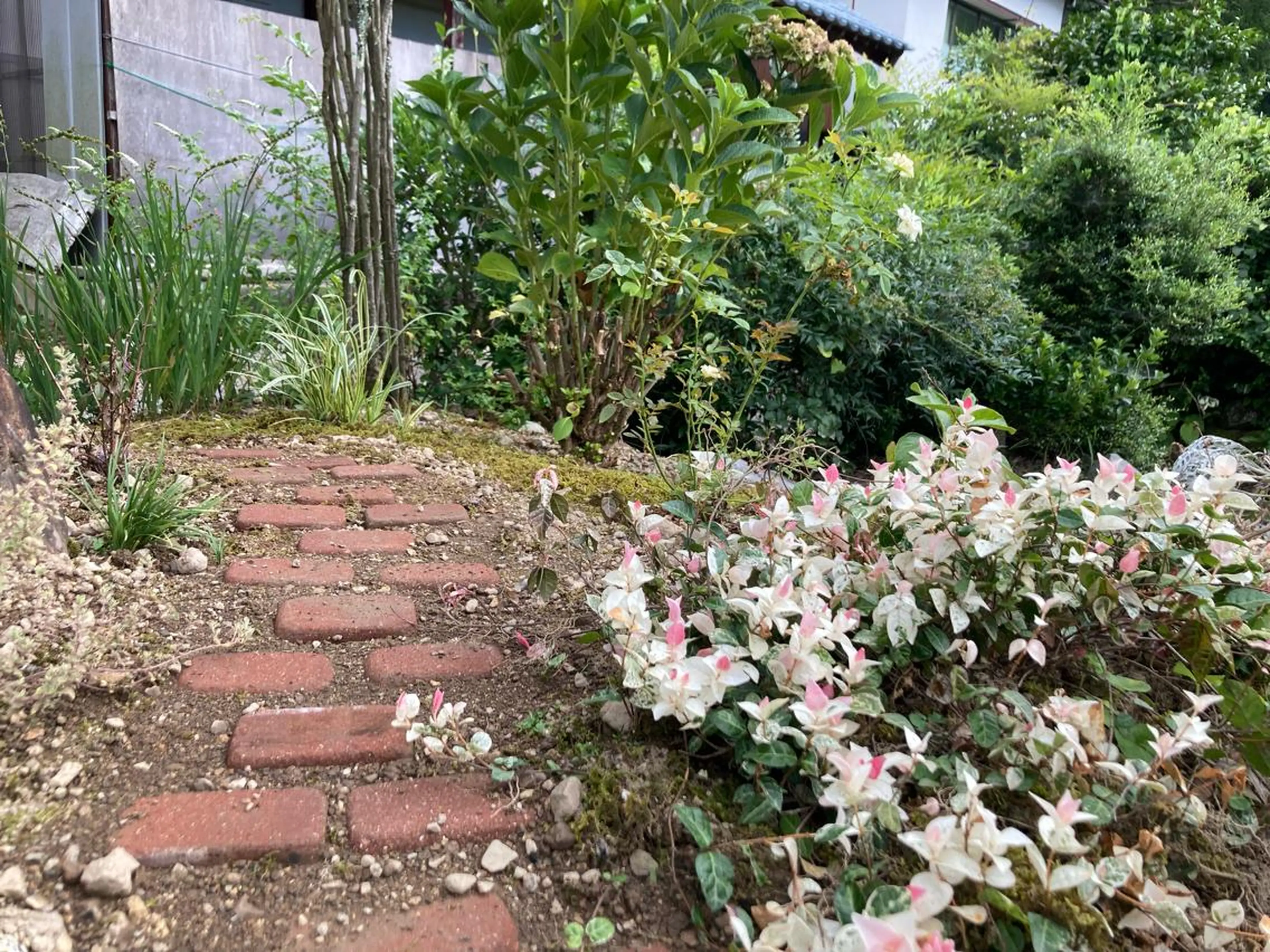 山嵜 まりこのその他イメージ