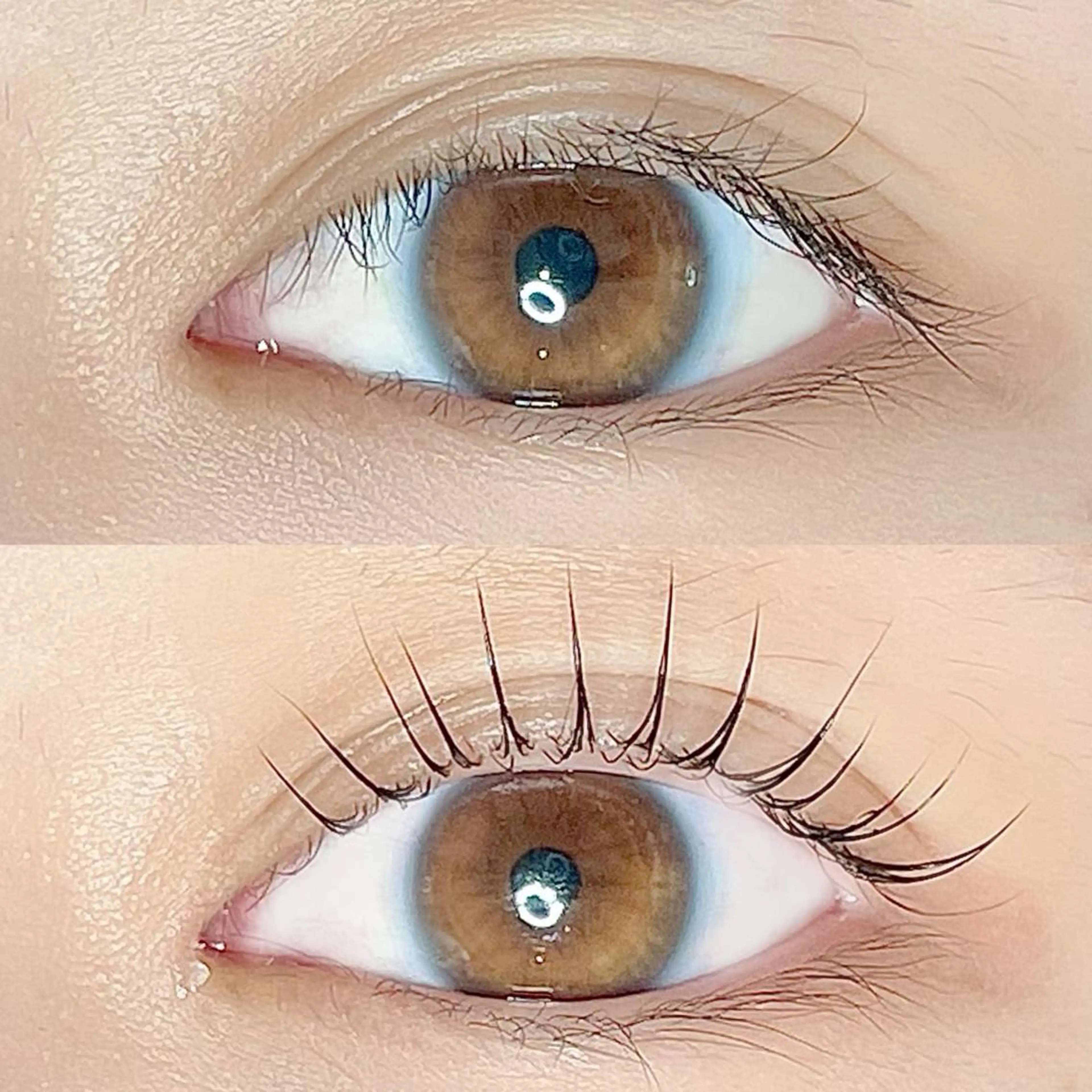 マツエク・マツパ マツパ AYLASH🧡 猪又のマツエク・マツパデザイン