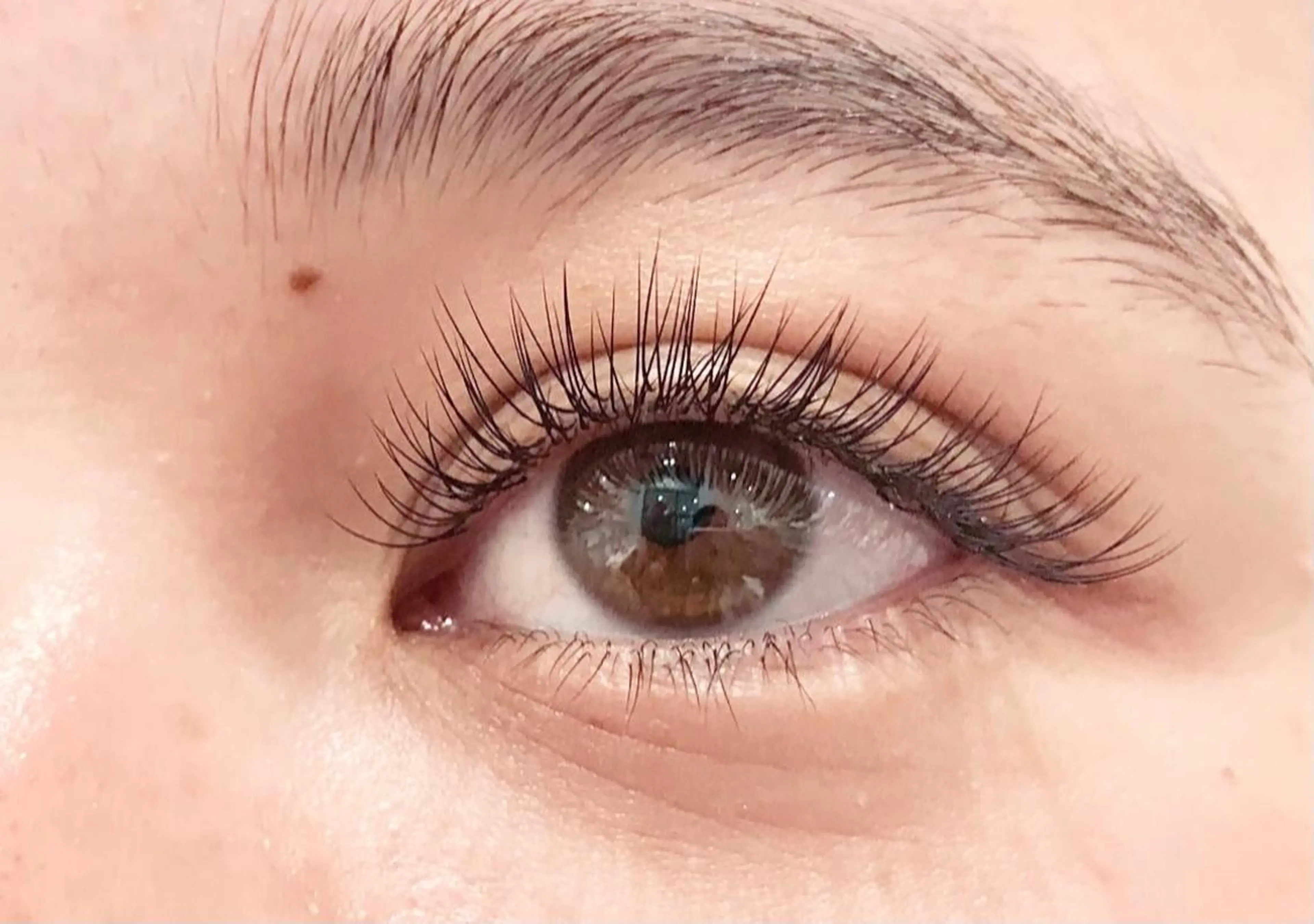 フラットラッシュ120本オフ込みの写真