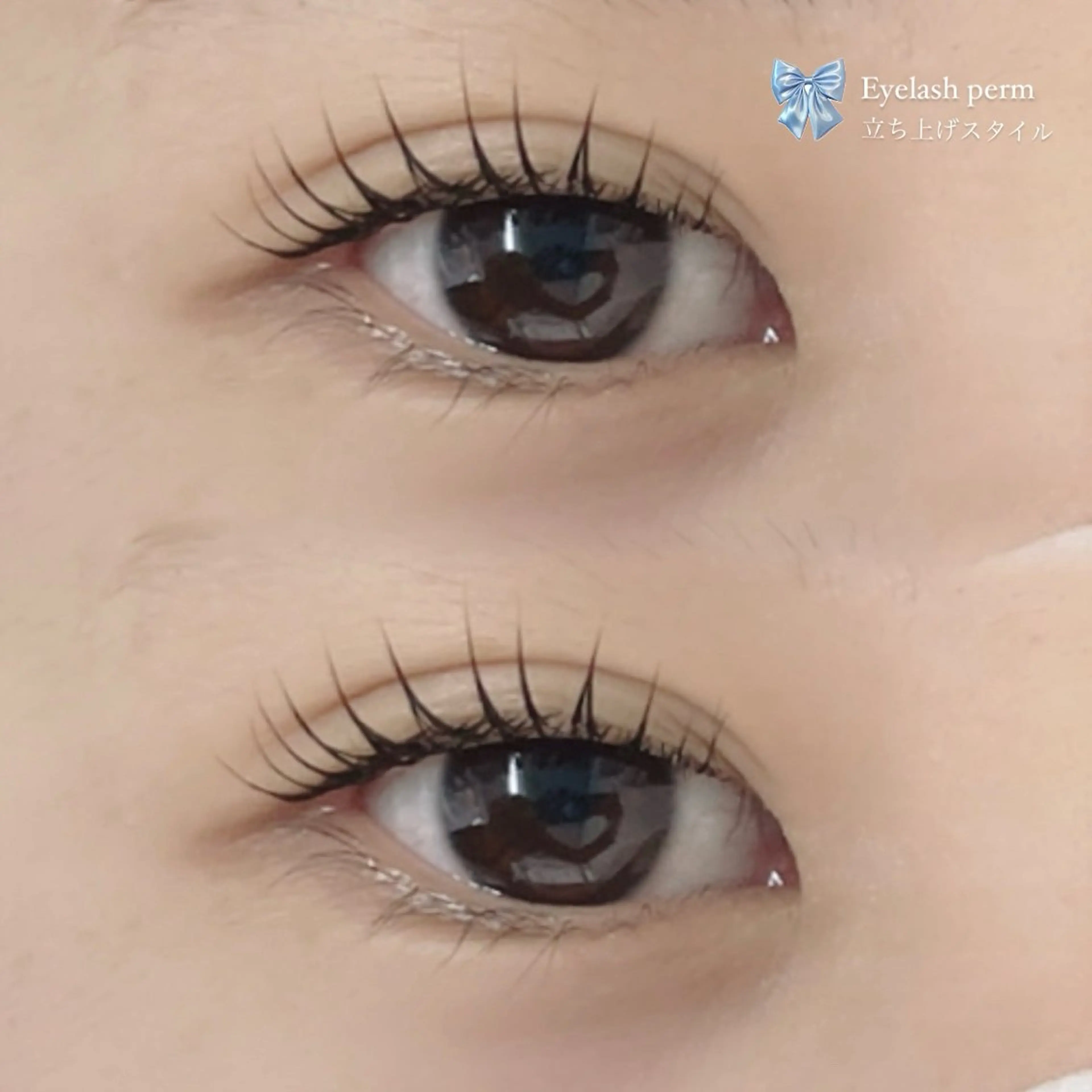 【まつ毛ケアしたい方に🍰🍨🎀】まつ毛パーマ💖ダメージ減3stepトリートメント付き❕高級コーティング仕上げ✨の写真