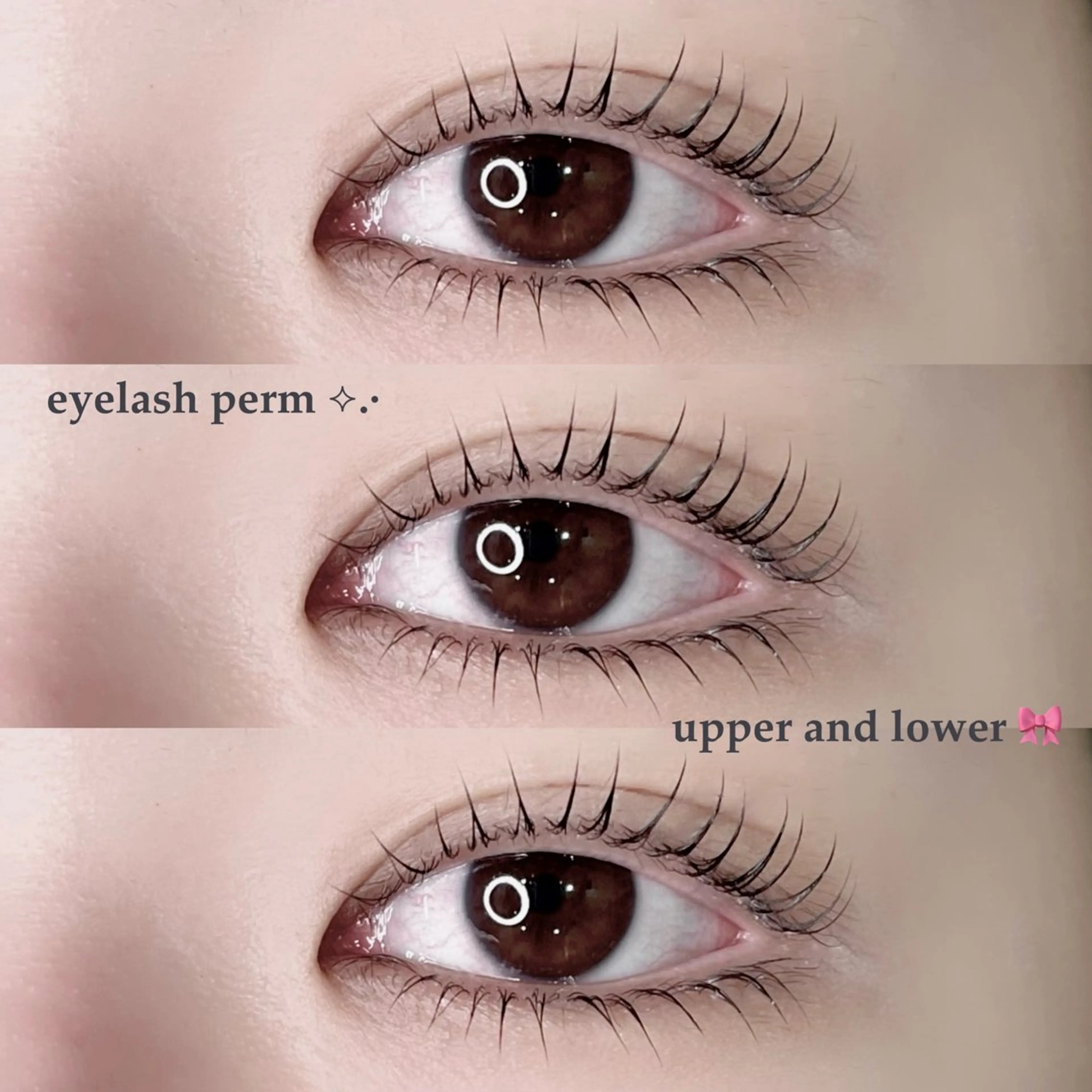 下まつげパーマの写真