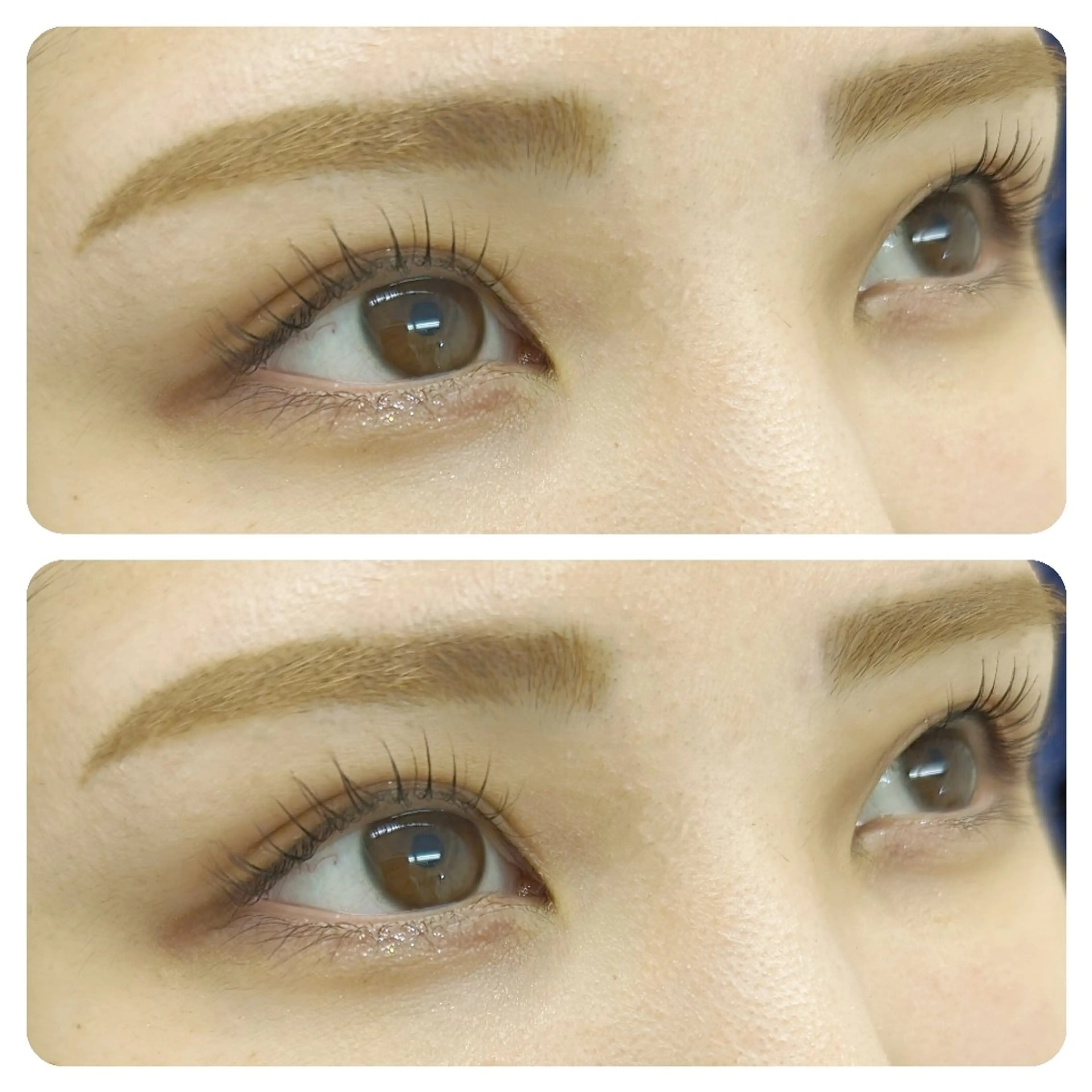 ✨次世代ラッシュリフト✨の写真