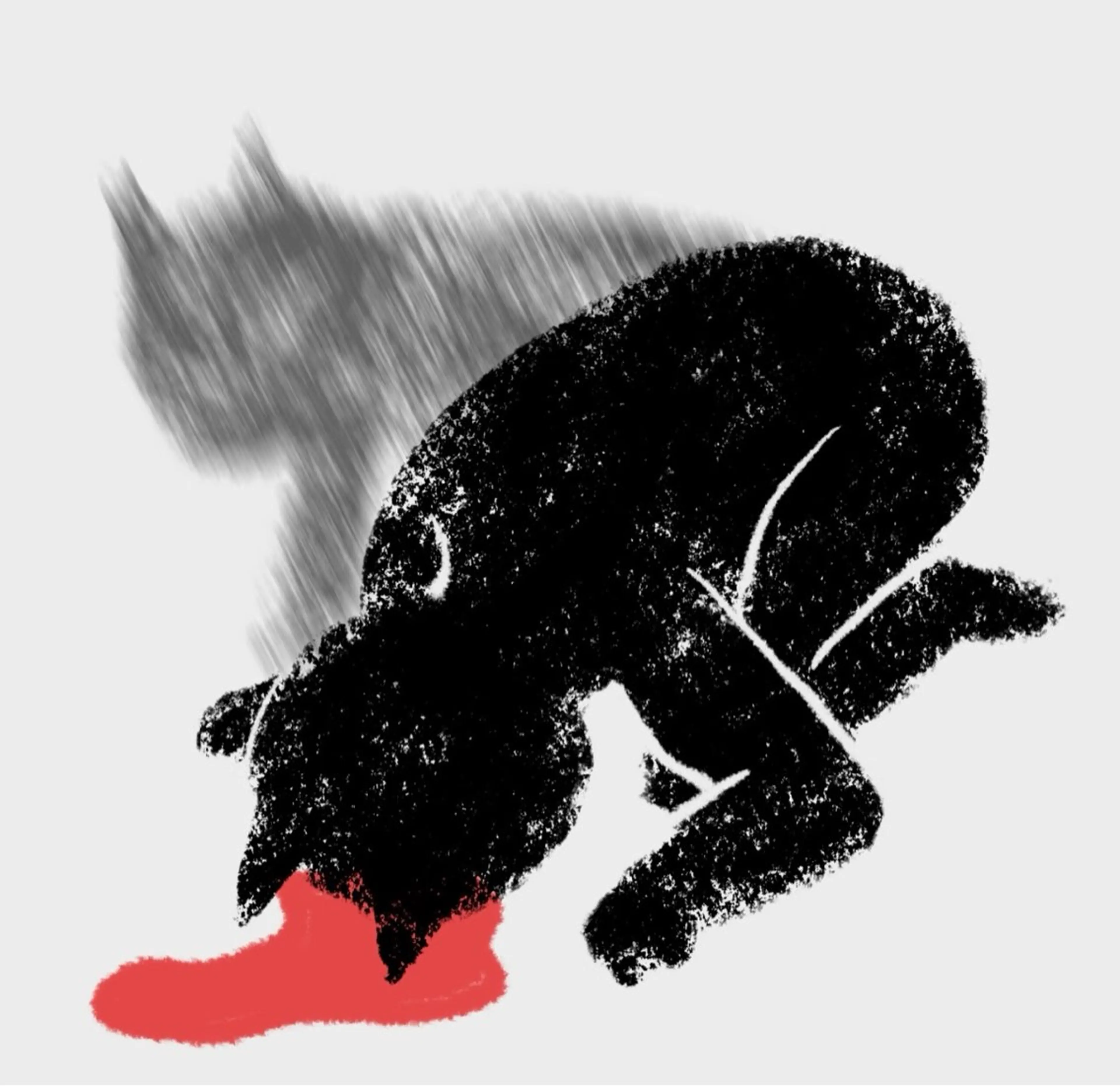 ★ 店施術後補修（施術後1週間以内）🙇🏻‍♀️🧎🏻‍♀️‍➡️❤️‍🩹の写真