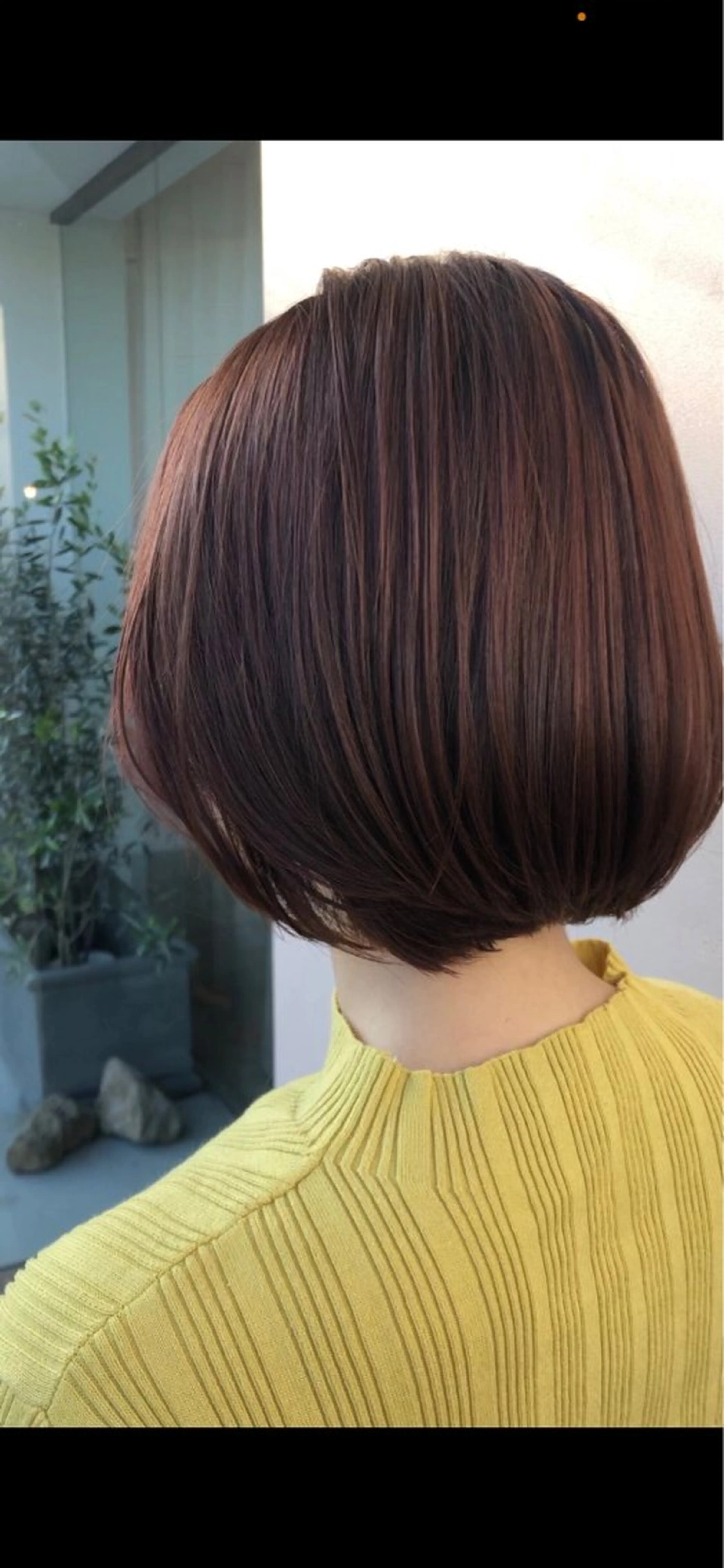 ショート トミタ ショウヘイのヘアスタイル