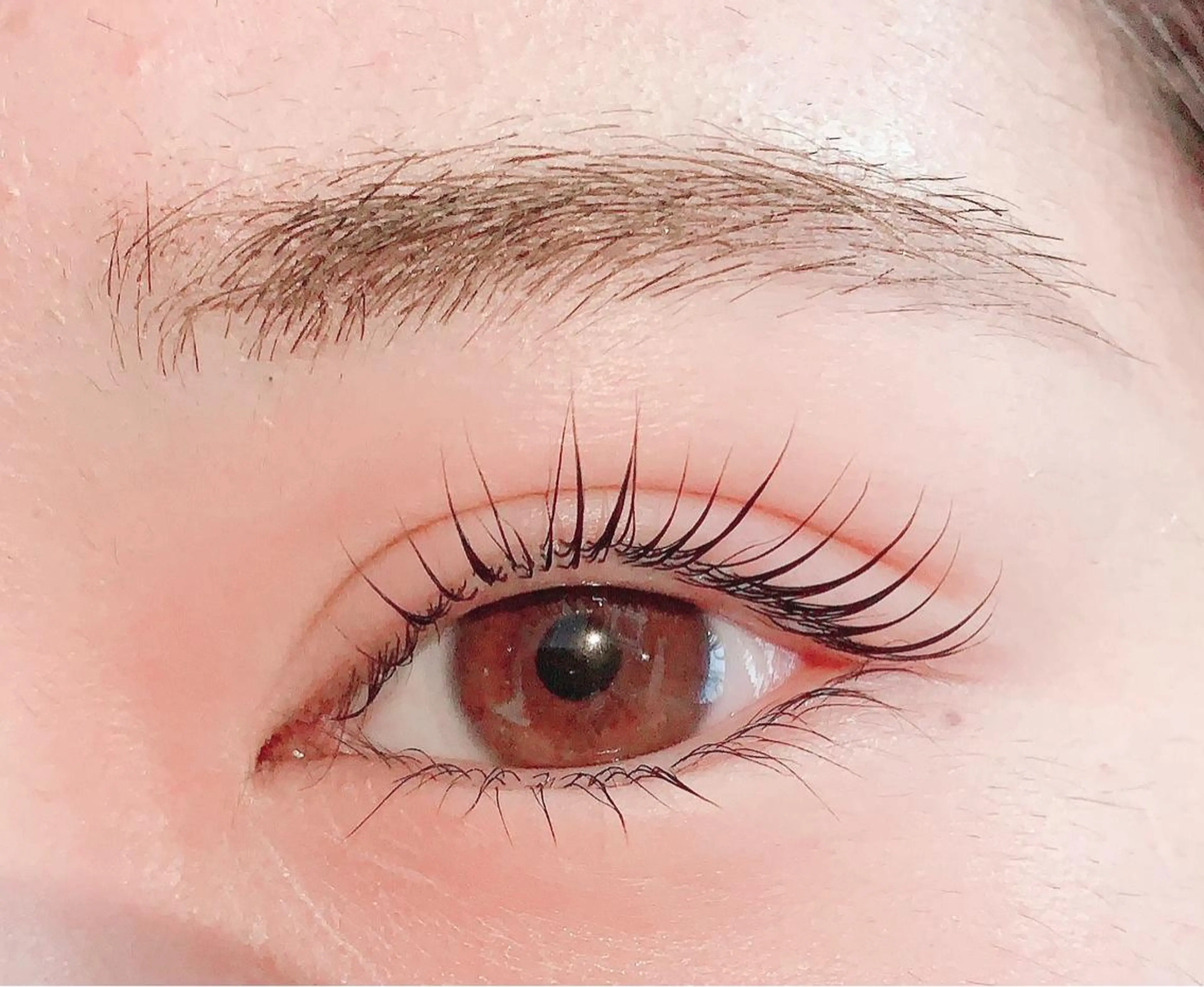 《3回目まで使用可◎》目元ぱっちり👀✨〈上下〉パリジェンヌラッシュリフトorラッシュリフト￥6600の写真