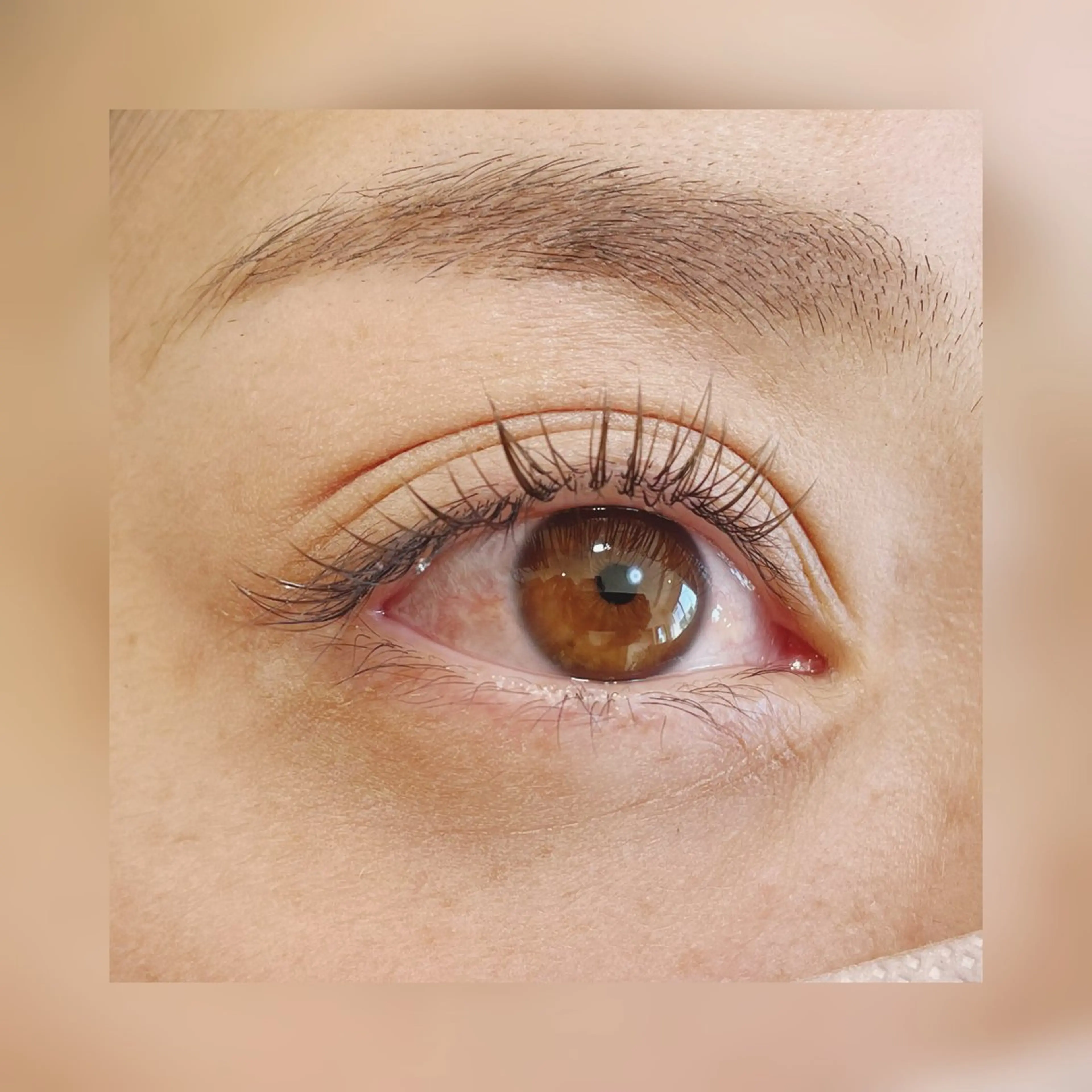 フラットラッシュ　ナチュラル80本の写真