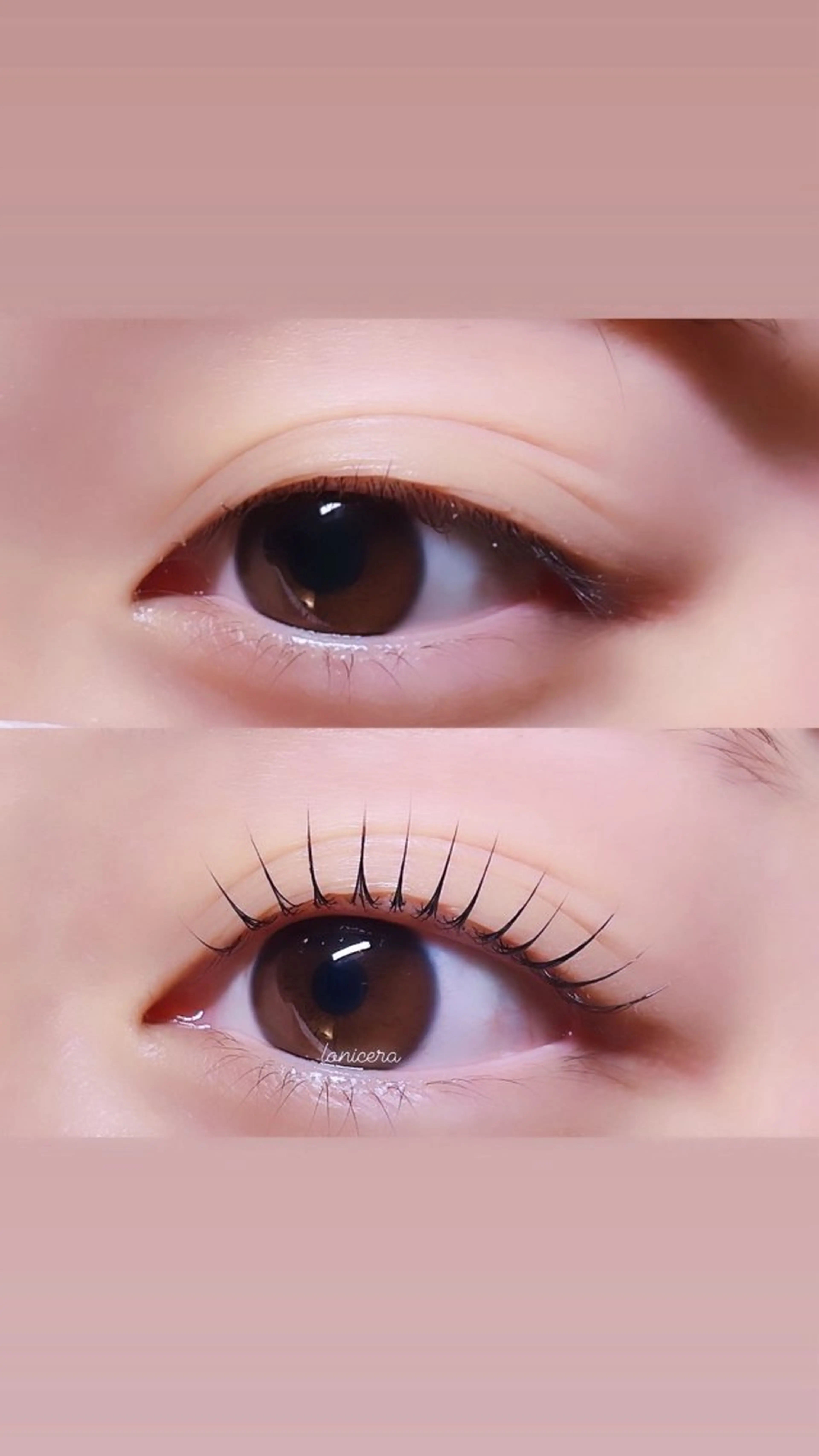 マツエク・マツパ 一重×まつ毛パーマ ロニセラ アイラッシュのマツエク・マツパデザイン