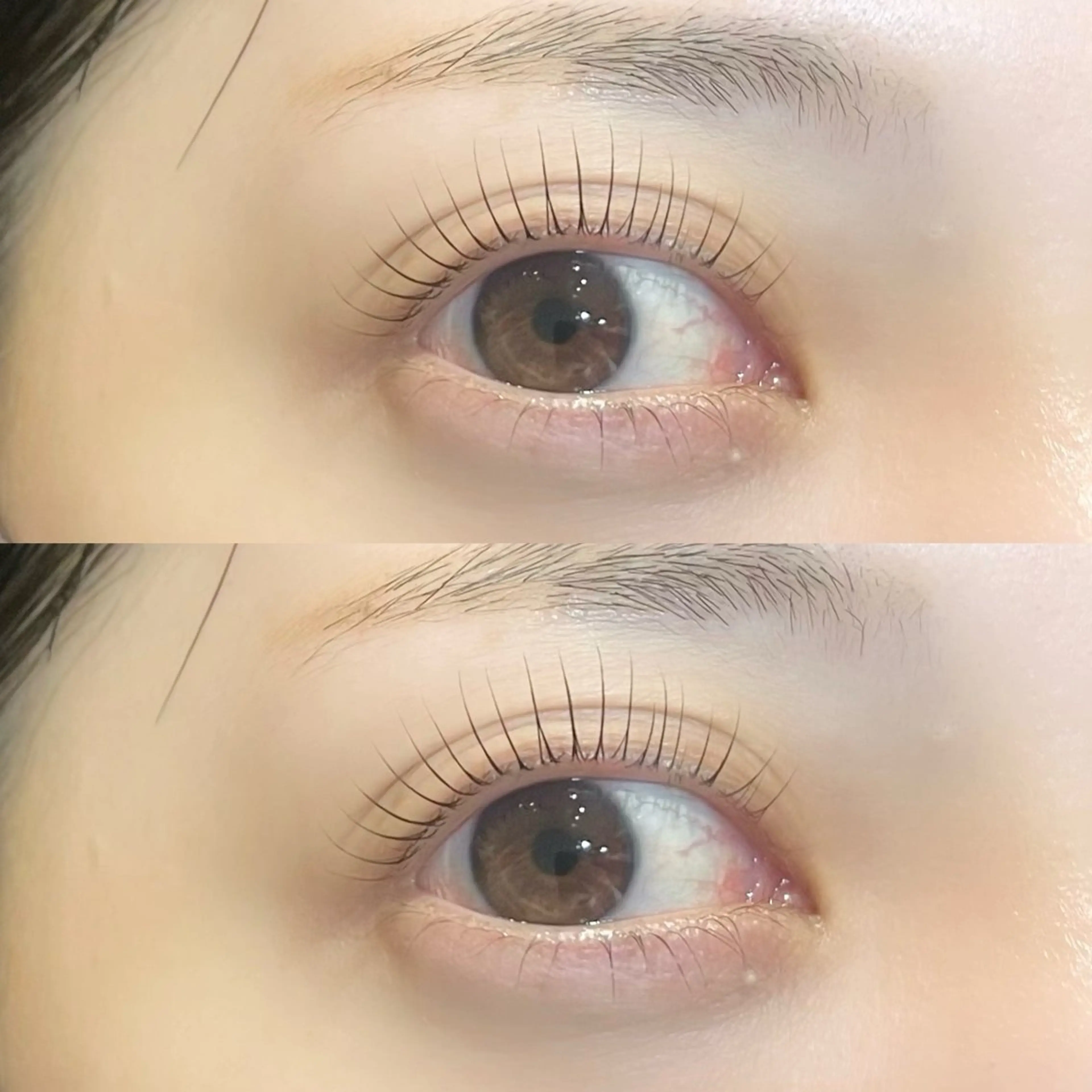 マツエク・マツパ 𝒆𝒊𝒈𝒉𝒕 杏花のマツエク・マツパデザイン