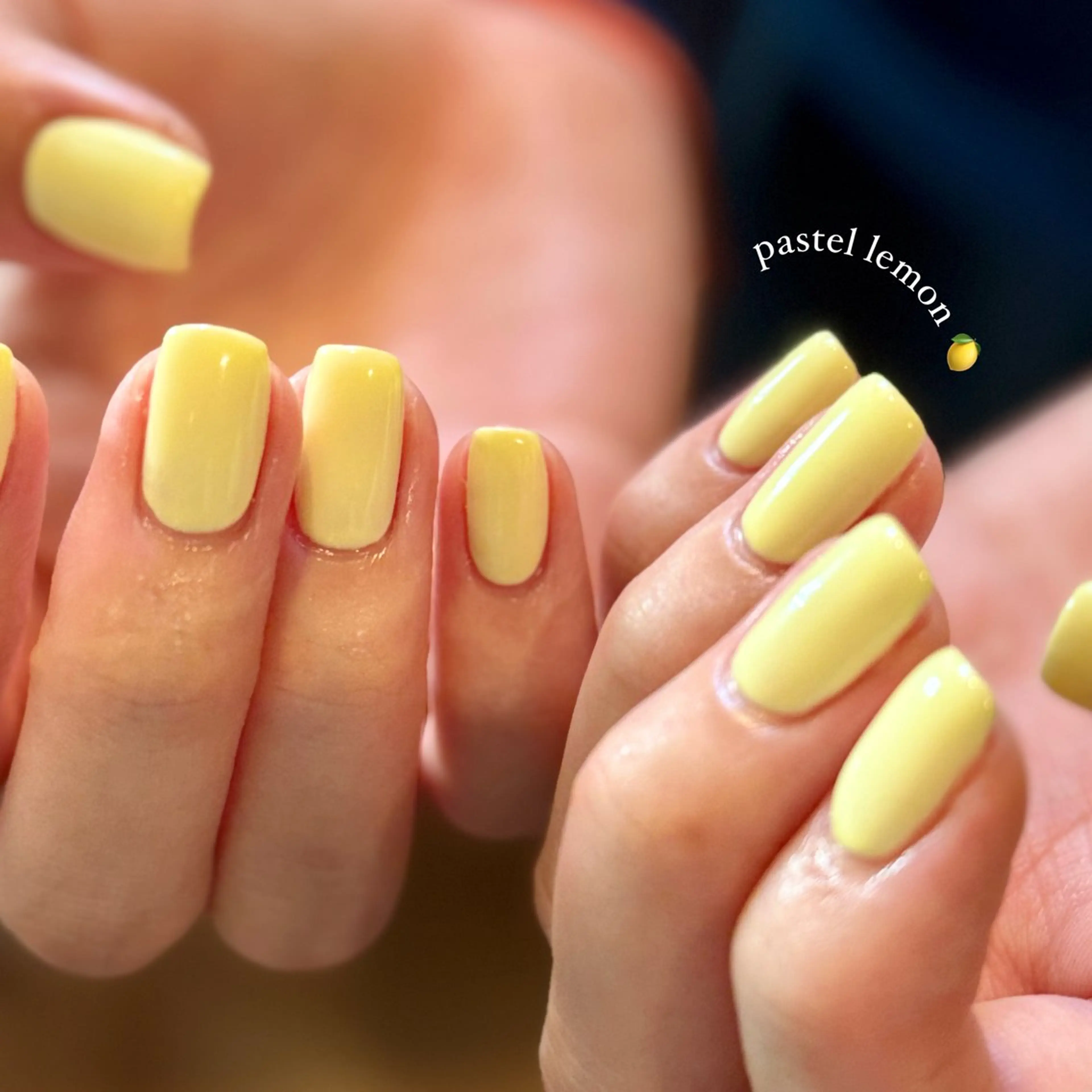 🌅ミニモ限定価格🫧【HAND/オフなし】ワンカラー🫧の写真