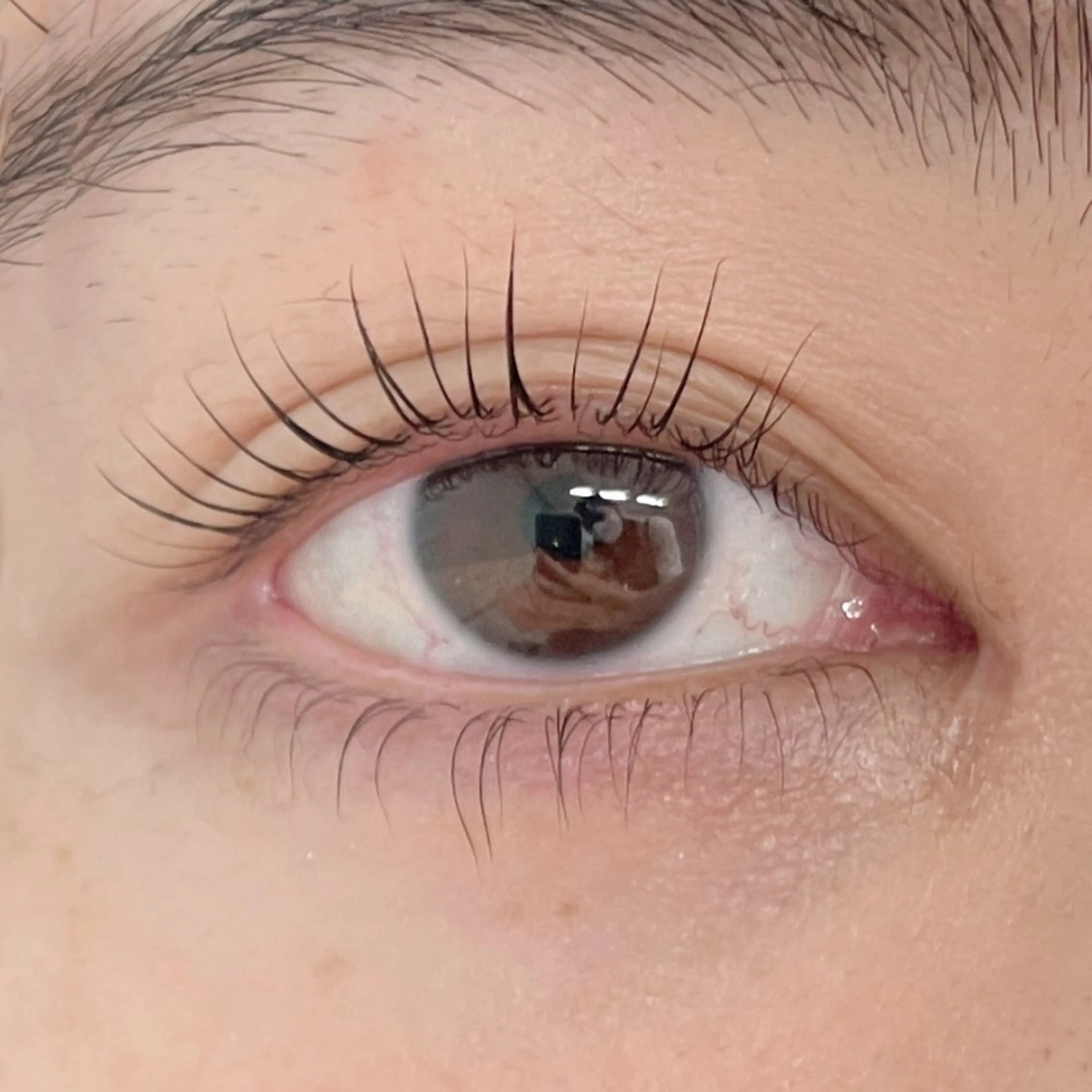 マツエク・マツパ mihiro 🐈‍⬛の眉毛・アイブロウイメージ