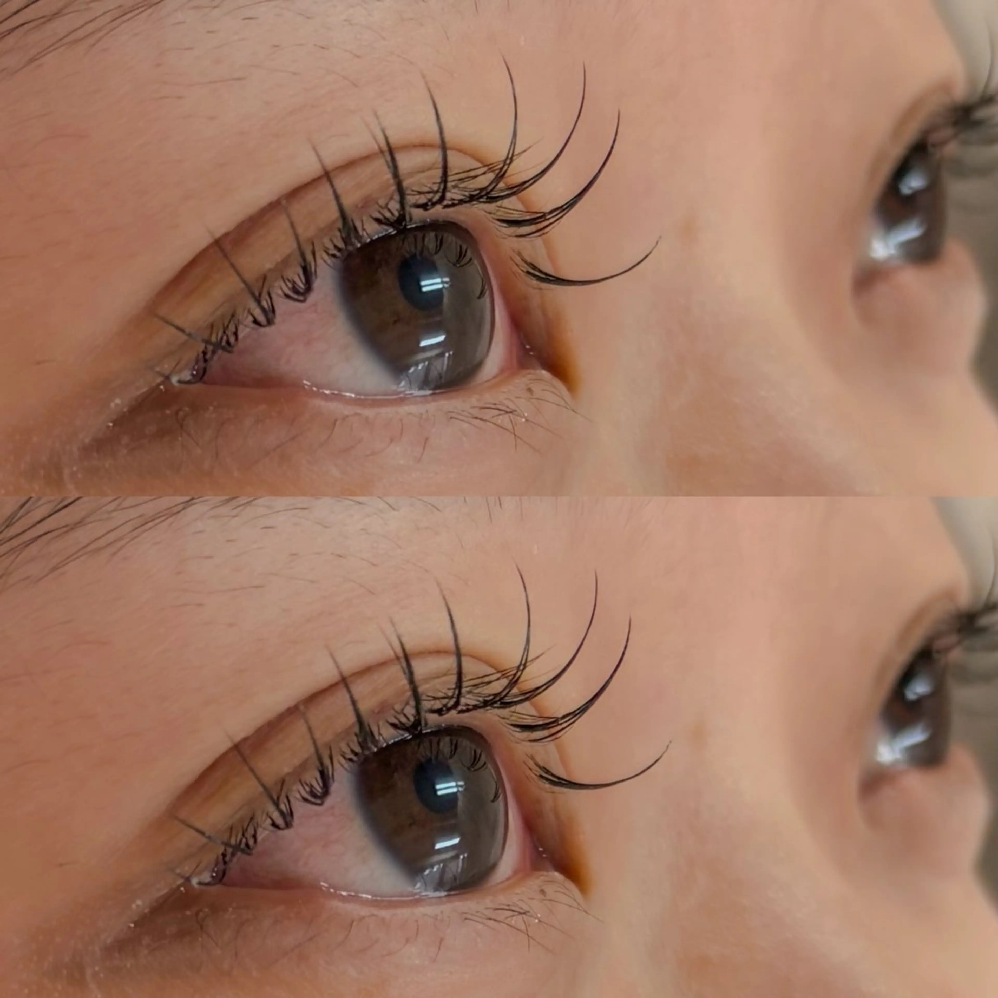 【詳細日時限定】マツエク練習モデル♡フラットマットラッシュ120本　オフ無×の写真