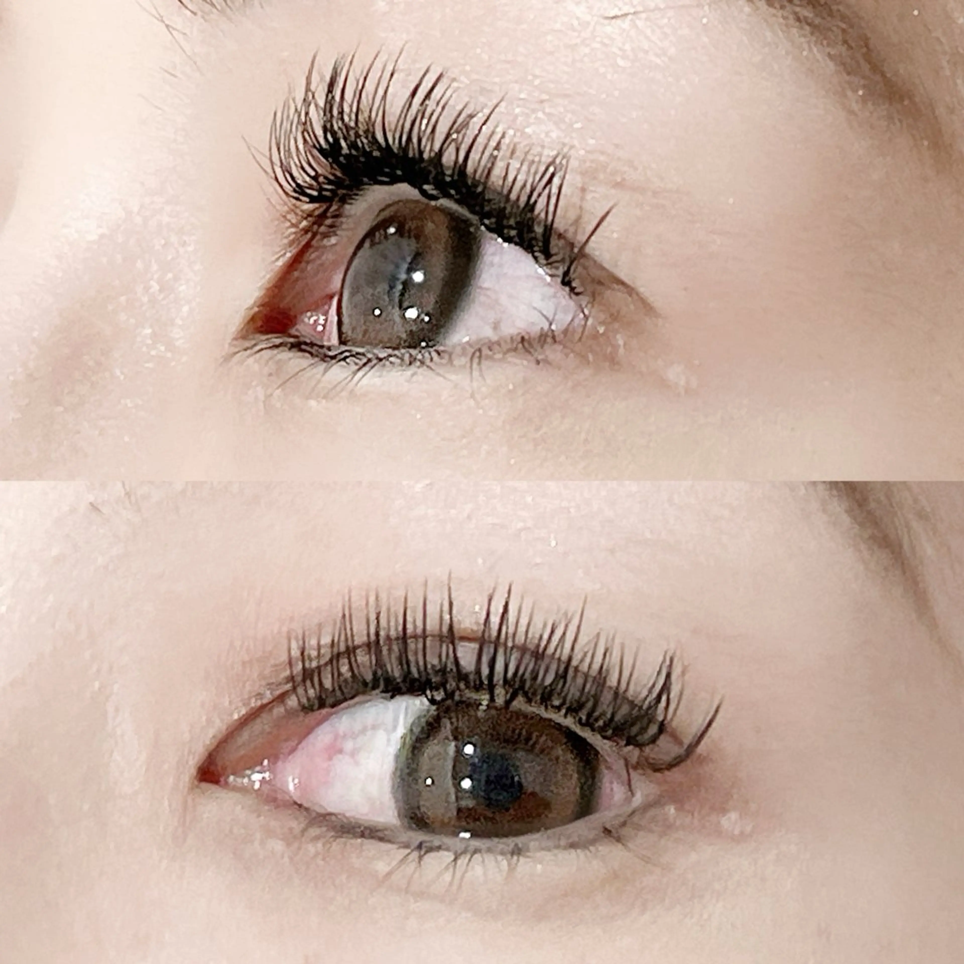 マツエク・マツパ フラットラッシュ Lカール Serina新宿南口 佐藤のマツエク・マツパデザイン