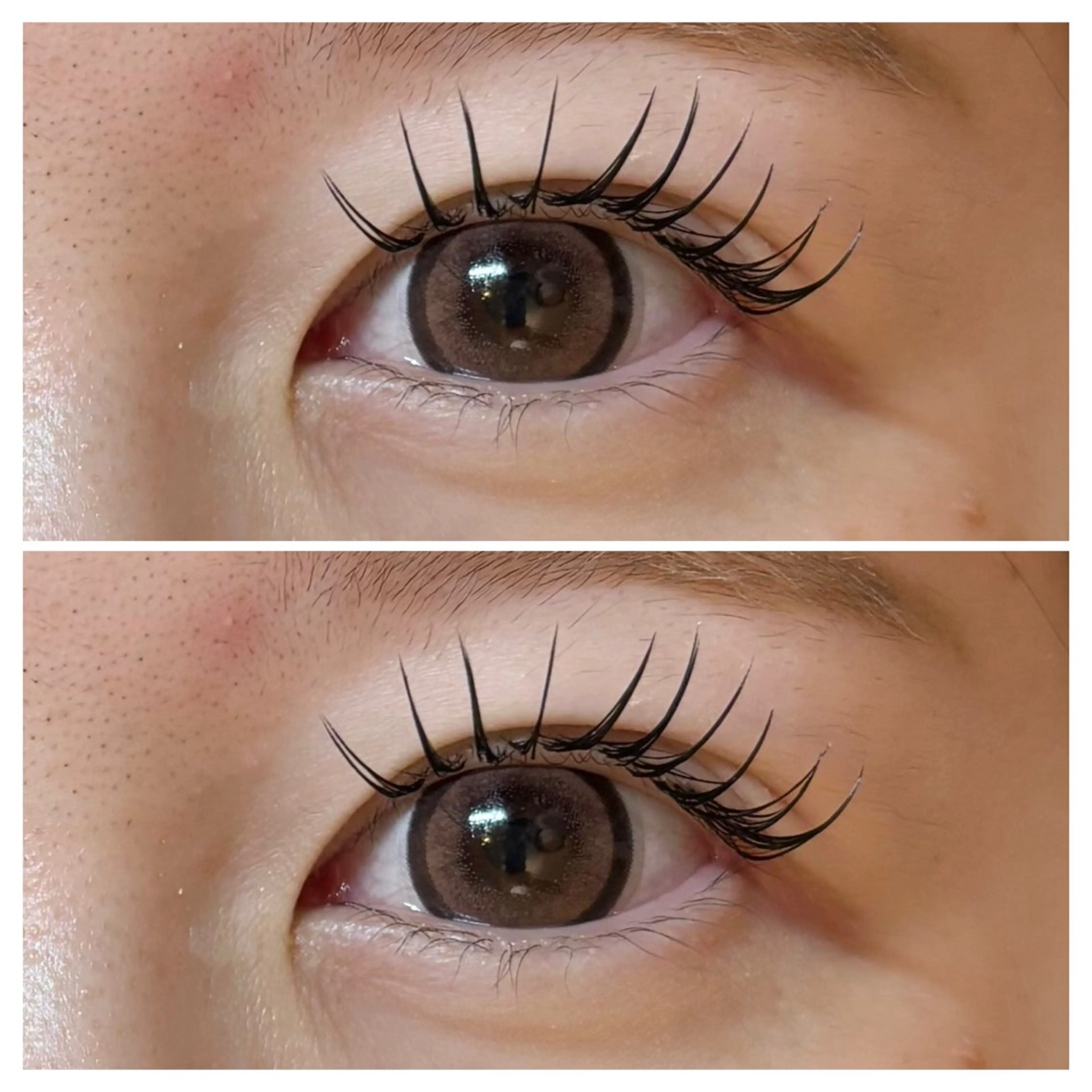 🫧高持続バインドロック️🫧100束まで👀の写真