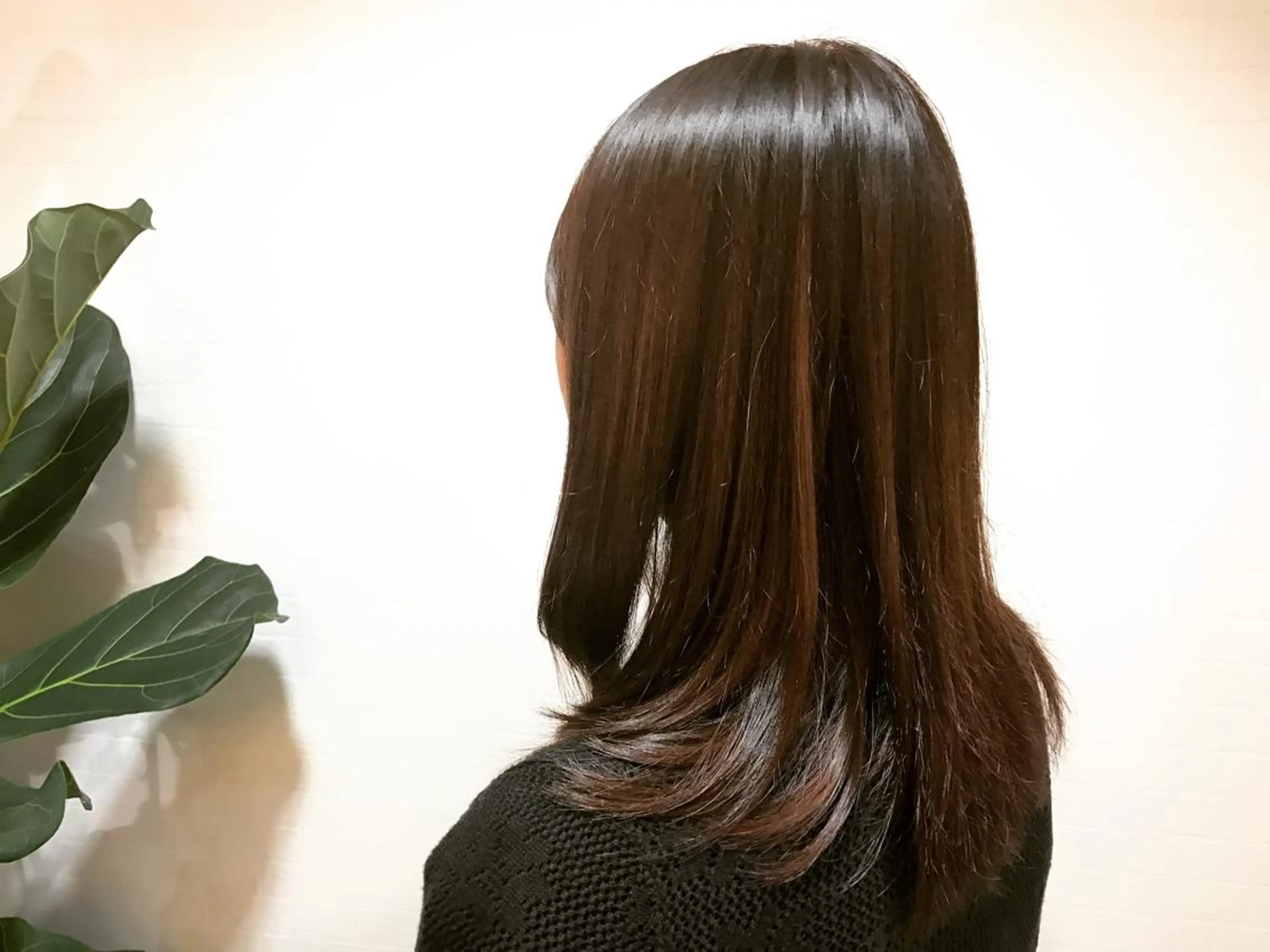 カラー 💜ツヤヘアケア🩷 サトウシュンスケのヘアスタイル